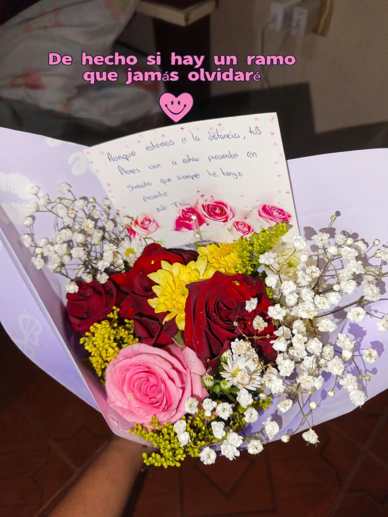 @Erika Nole Pereira