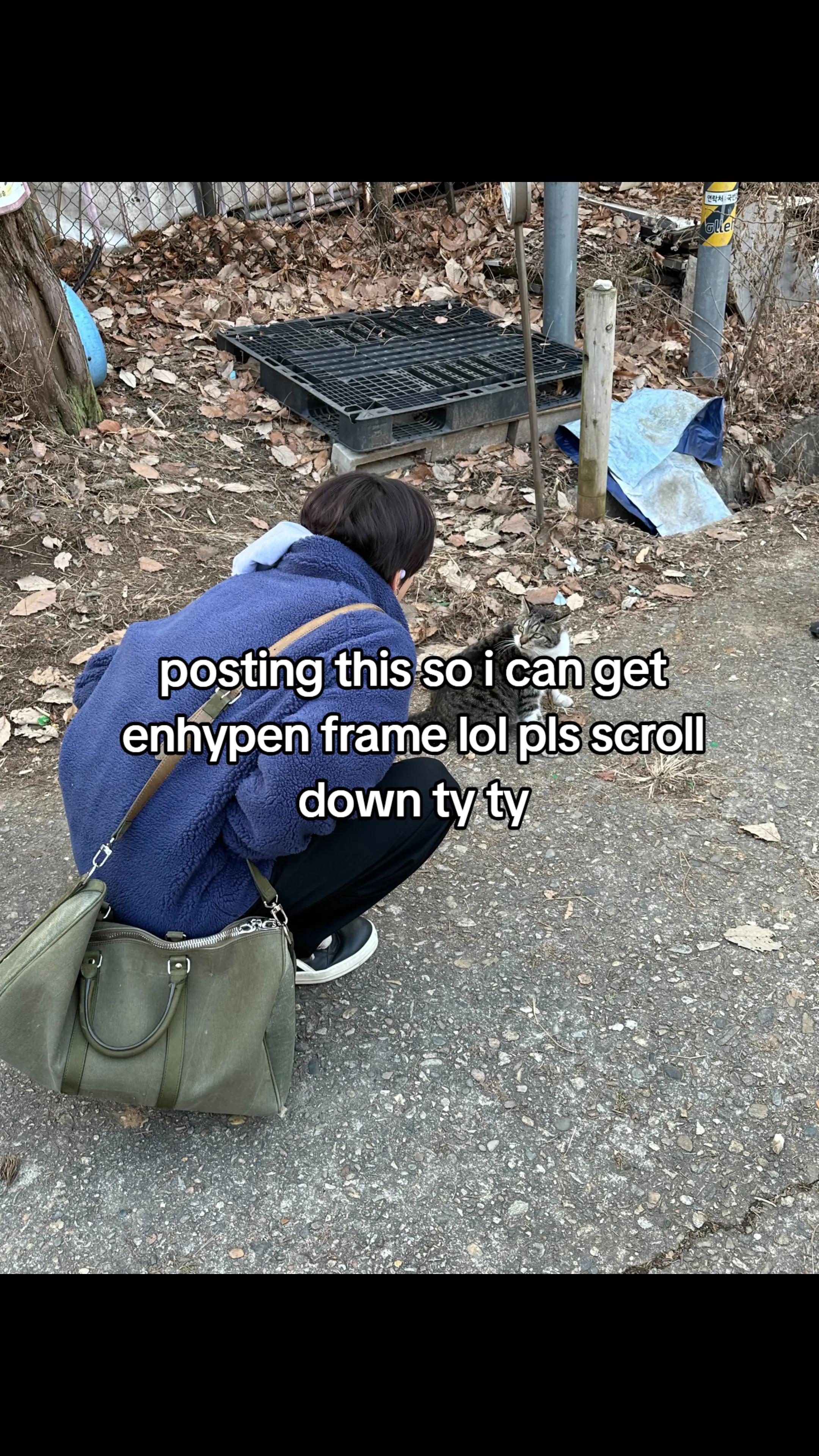 @L ⭐
