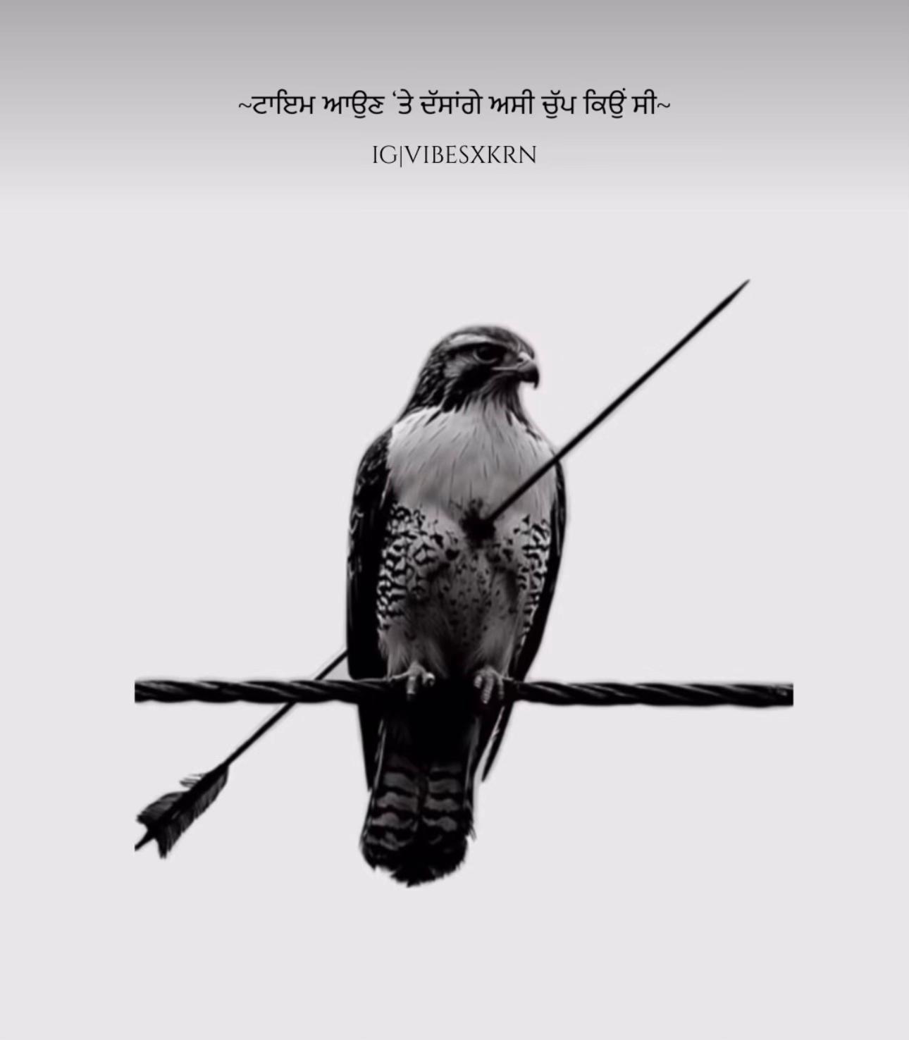 @🦅( ਫੱਕਰ ਬੰਦੇ )🦅
