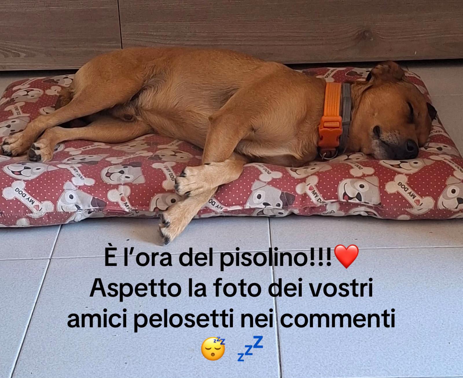 @Stefano