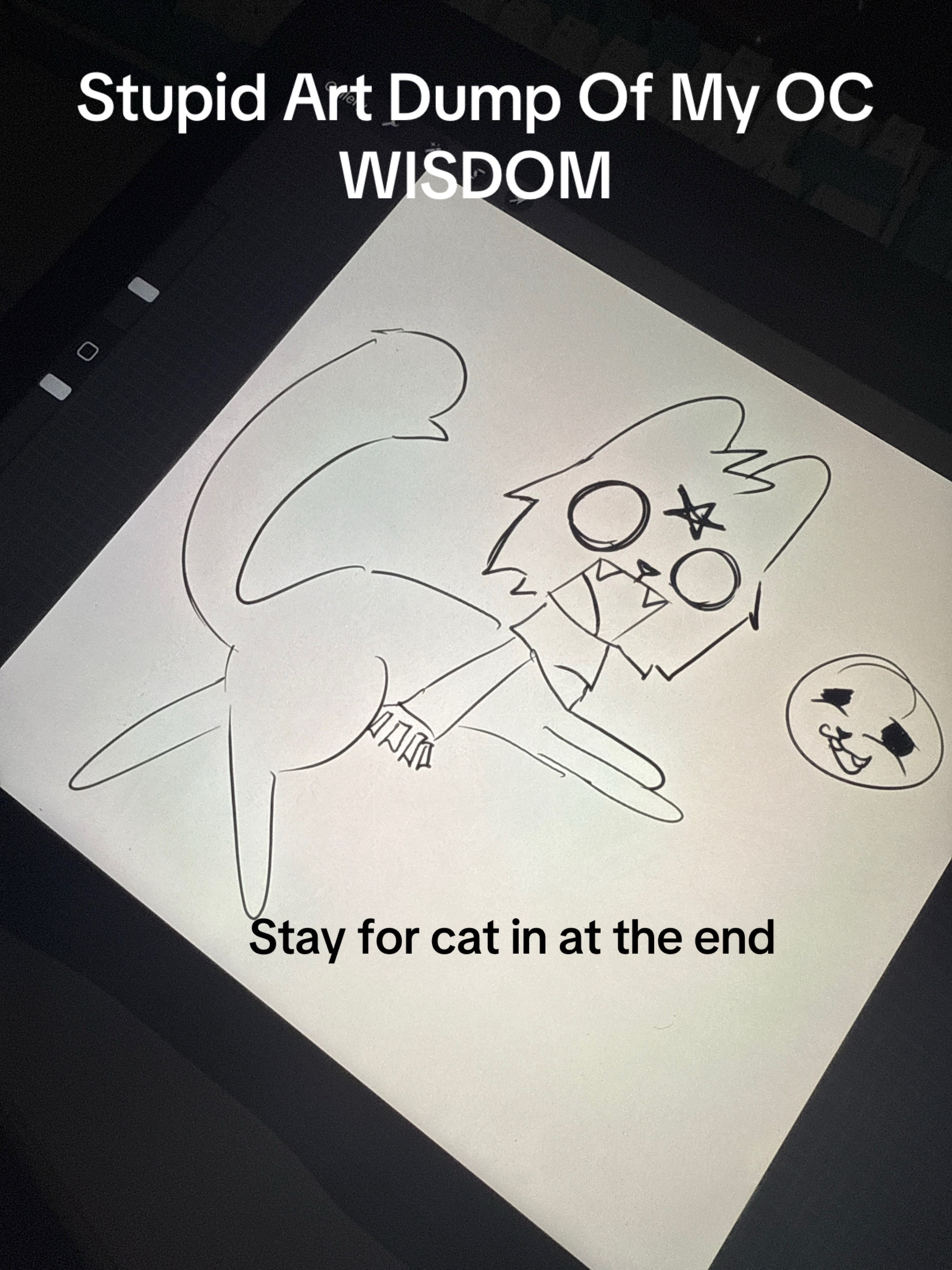 @WisdomCat