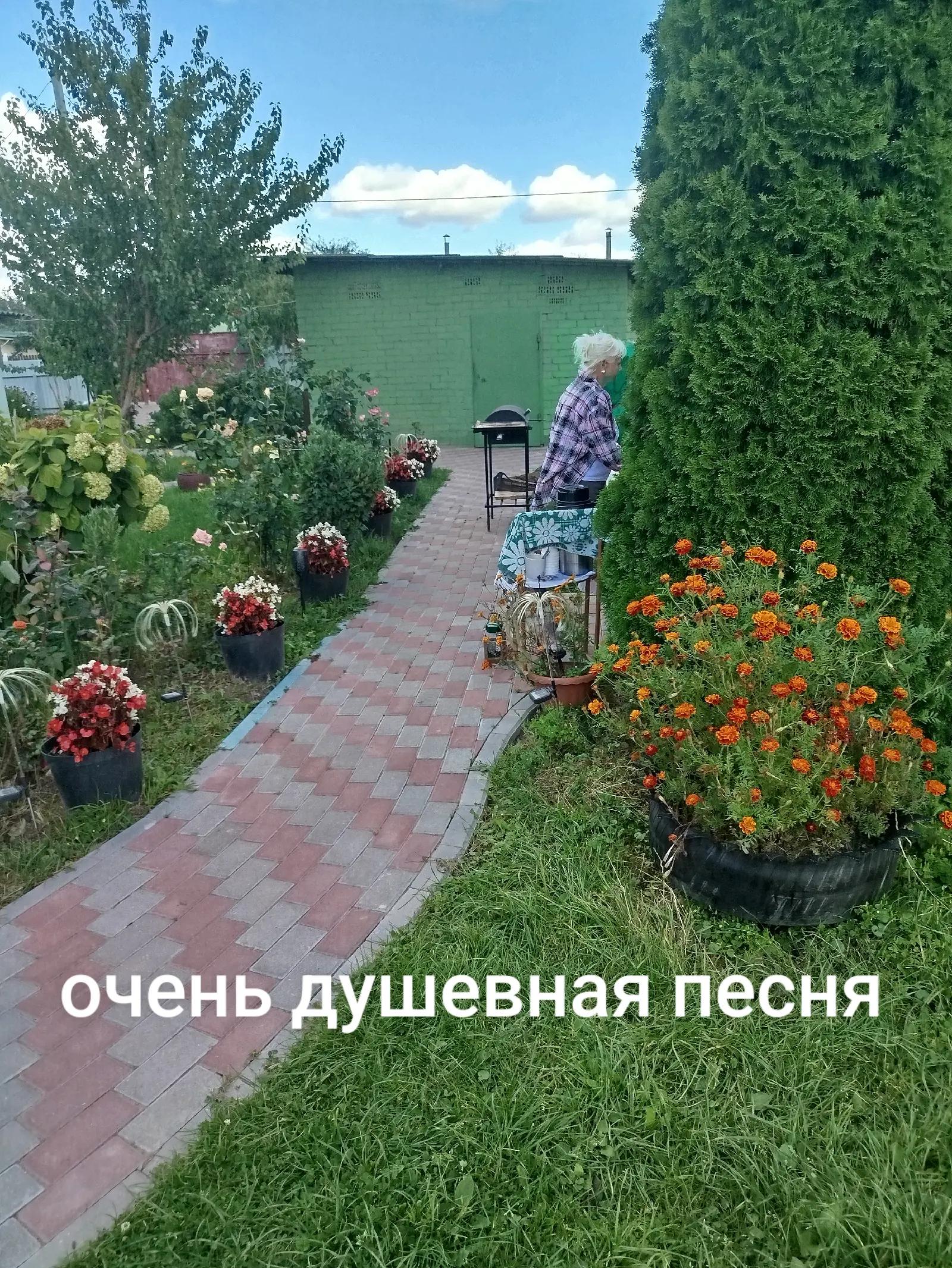 @Нина Лушникова