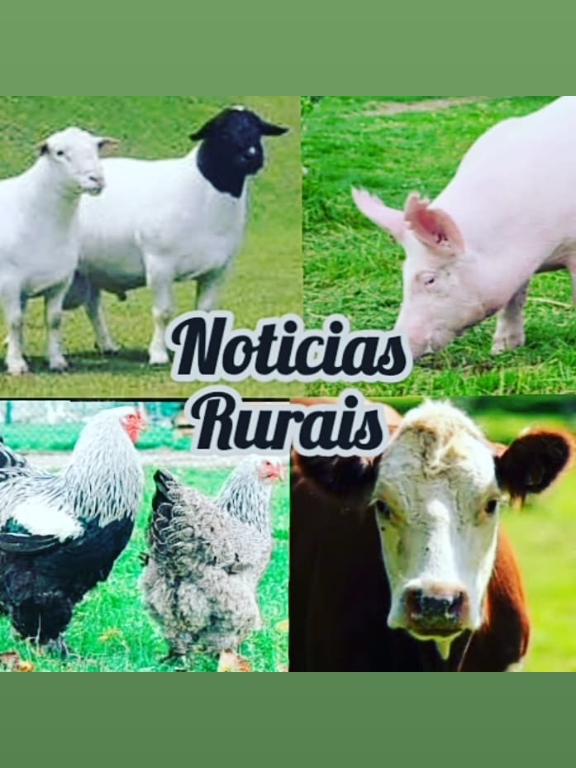 @NOTICIAS RURAIS