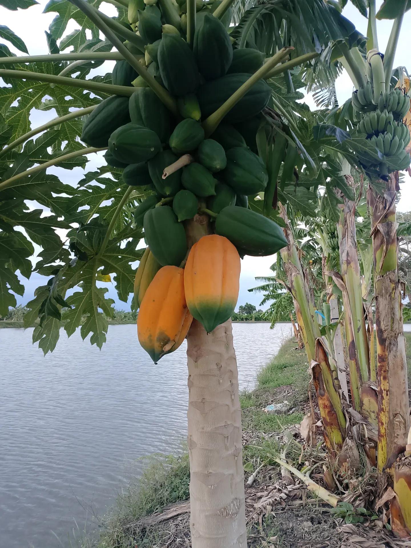 @ยุ้ย