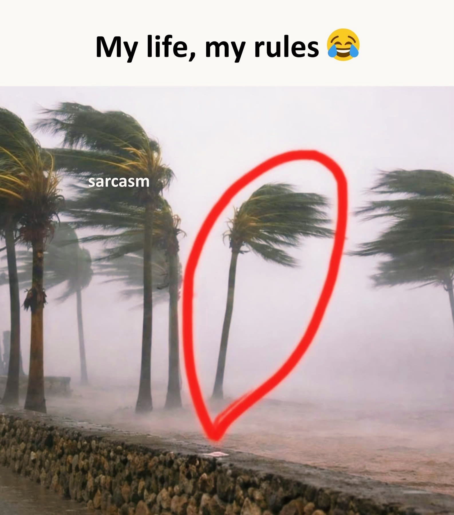 @Bᵤₙᵤₛₕ ₘₑₙYₐₙGBₒ ₗᵢₘBᵤ