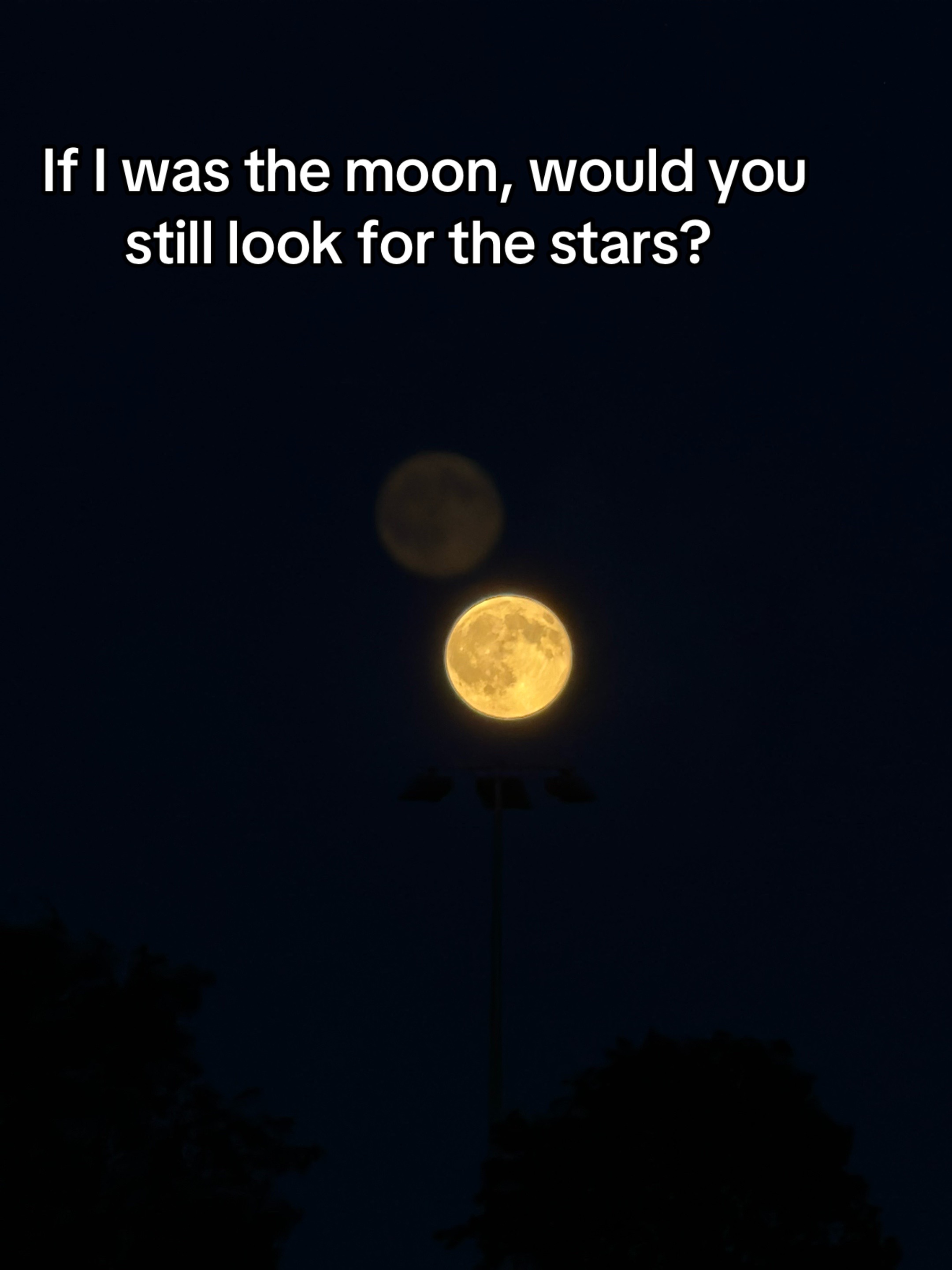 @rosesafterrainn