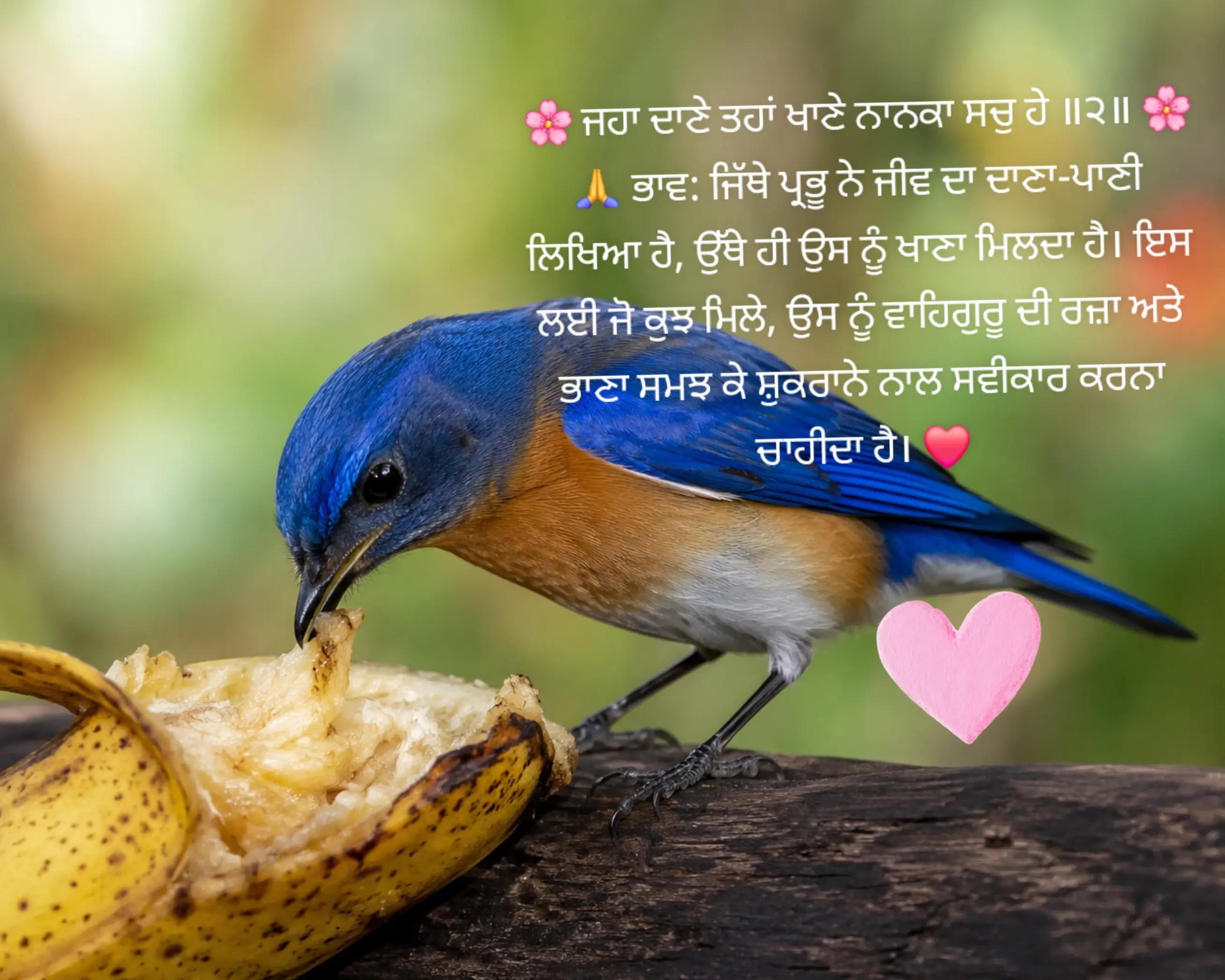 @§ïňğh ï§ ķïňğ👑👑👑