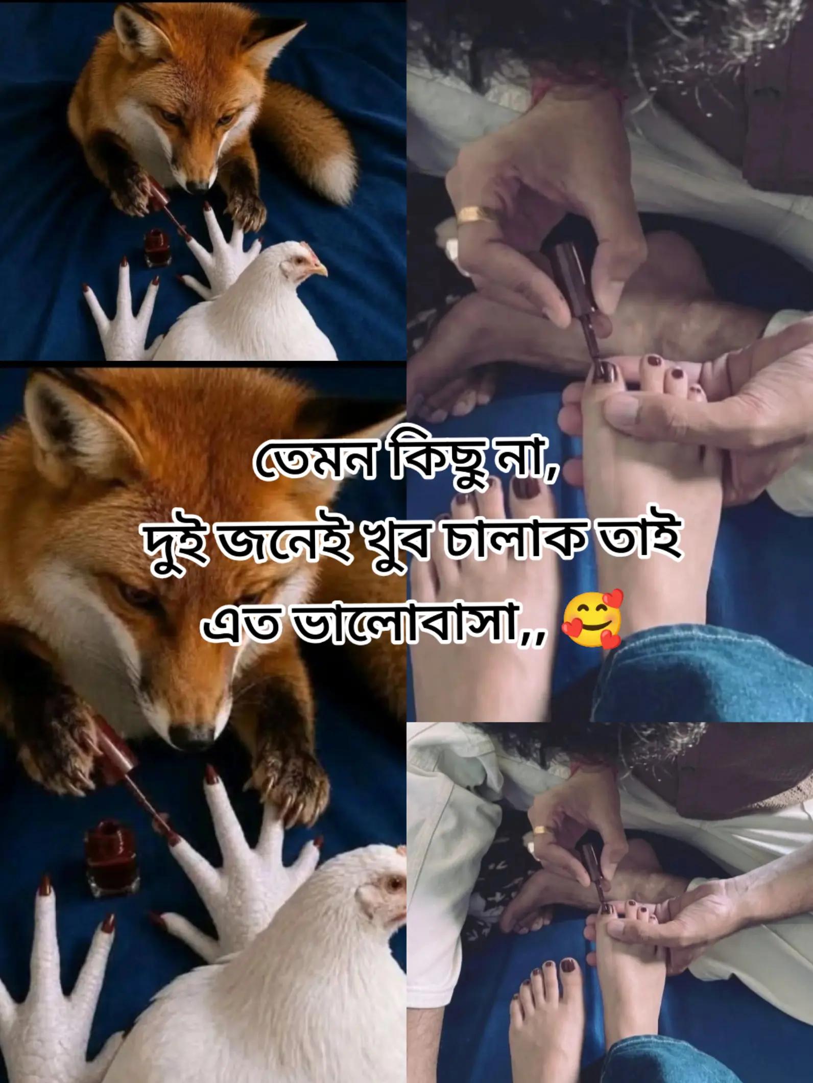 @🍁.🌿~সুবাসিনী ≈📝.📚