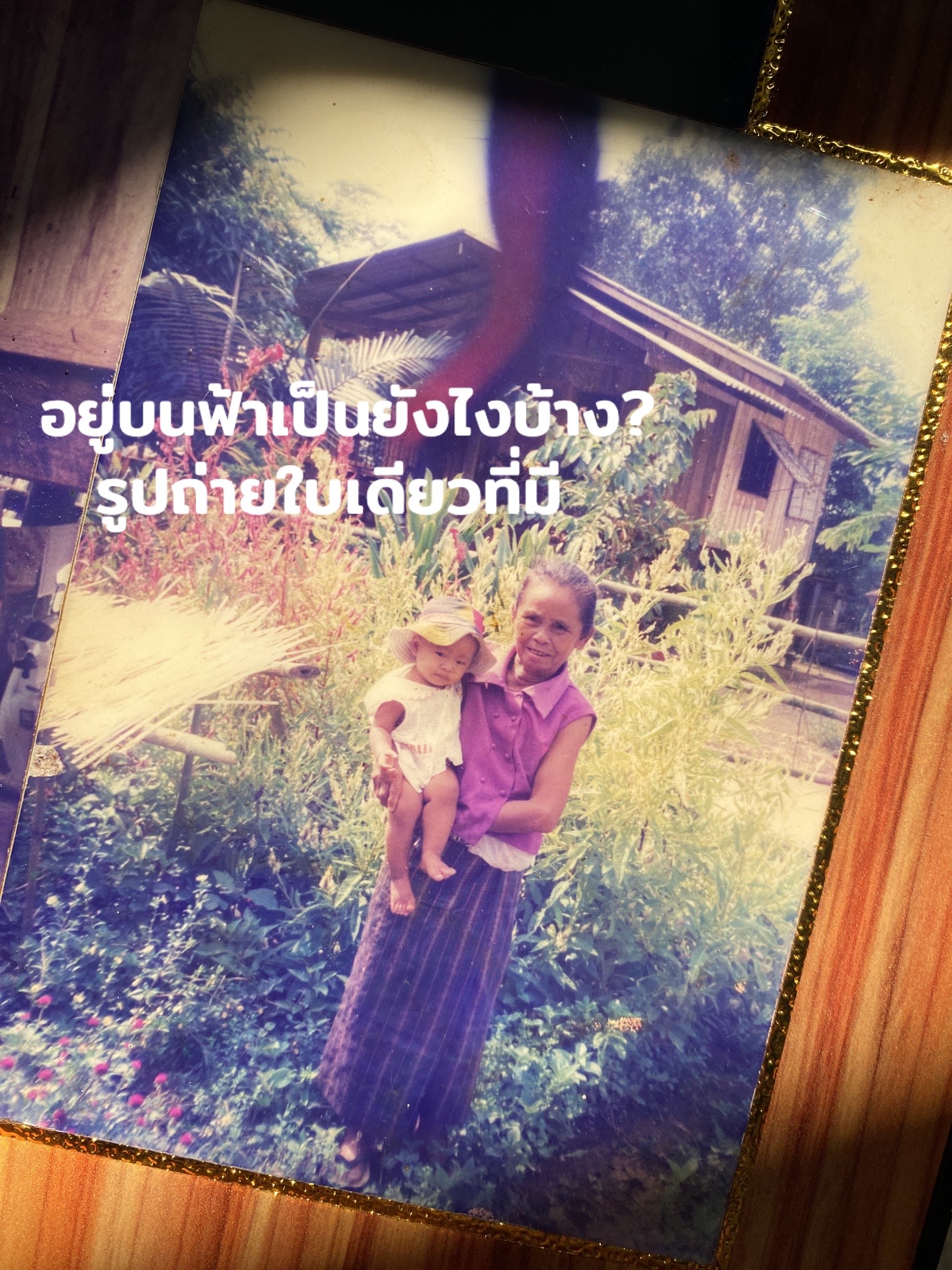 @ดรีมเวิร์ล💂🏻&zwj;♂️🐈