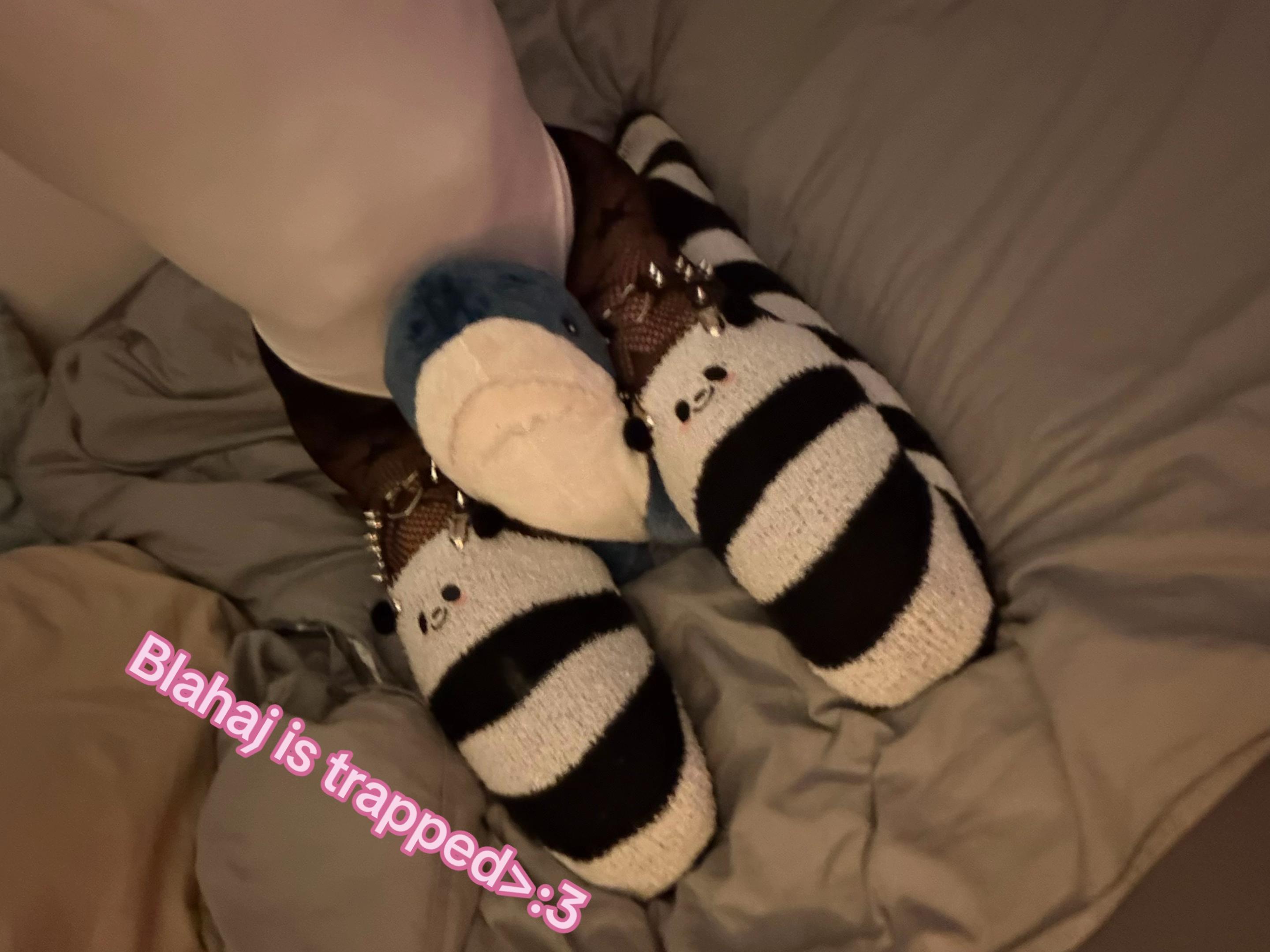 @Femboy_Fidel4