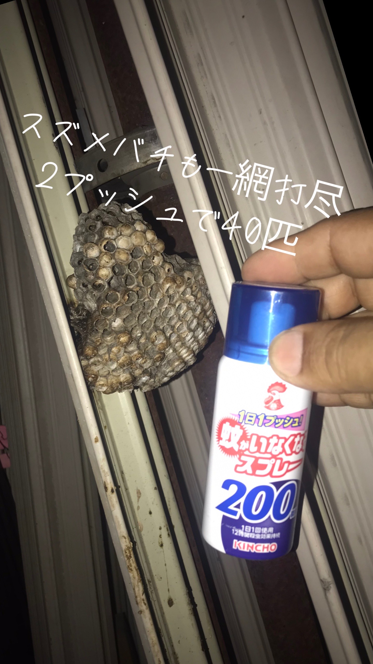 @静音 SION 防音室