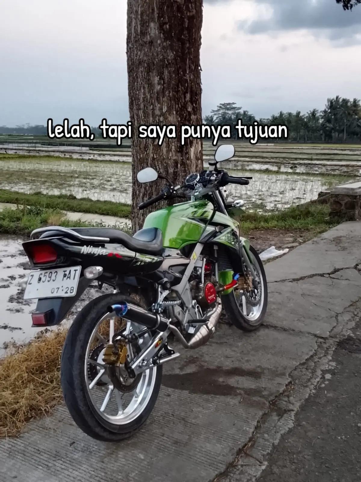 @𝙉𝙖𝙛𝙖𝙨 𝙆𝙪𝙥𝙡𝙞𝙣𝙜💨