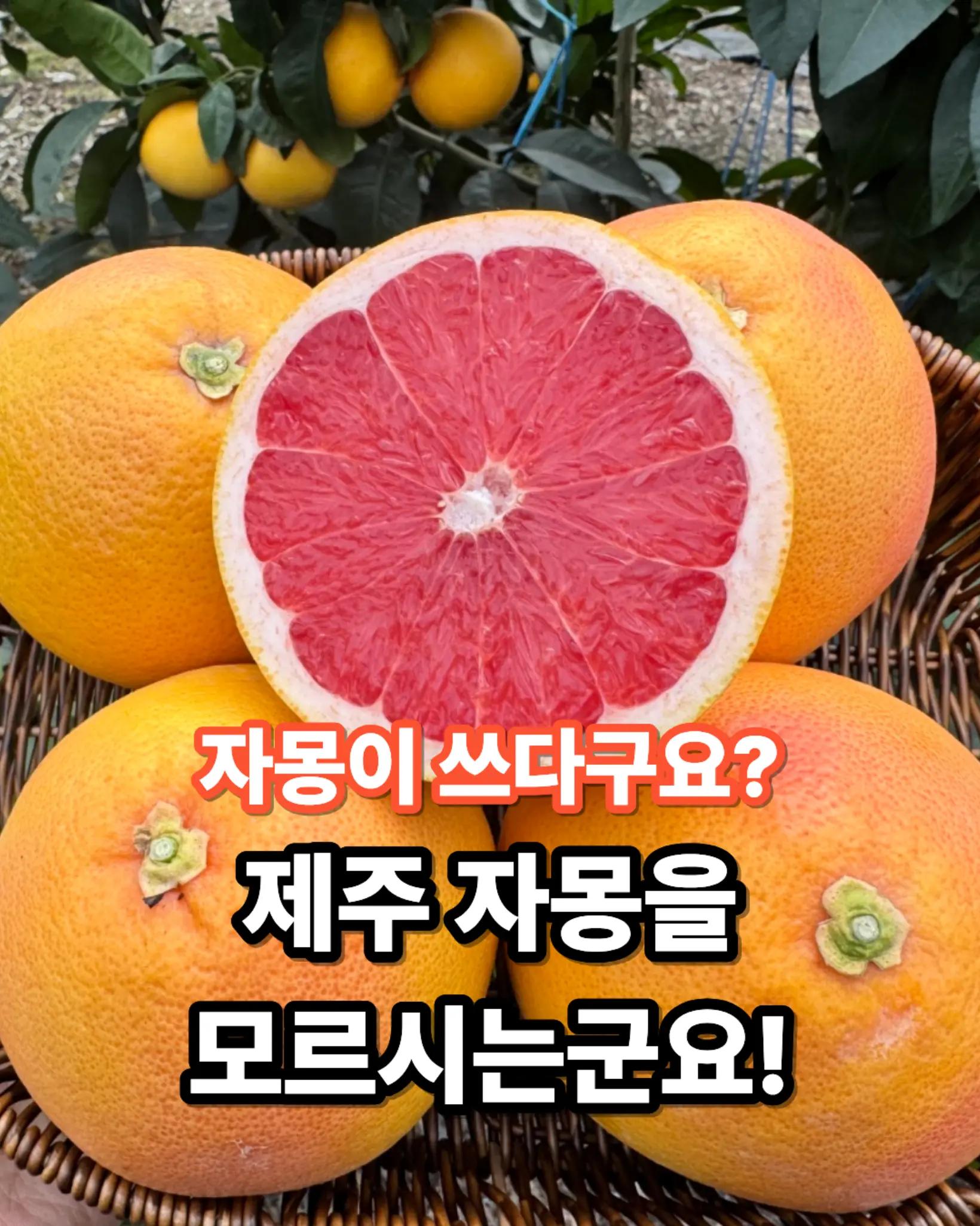 @진심먹거리