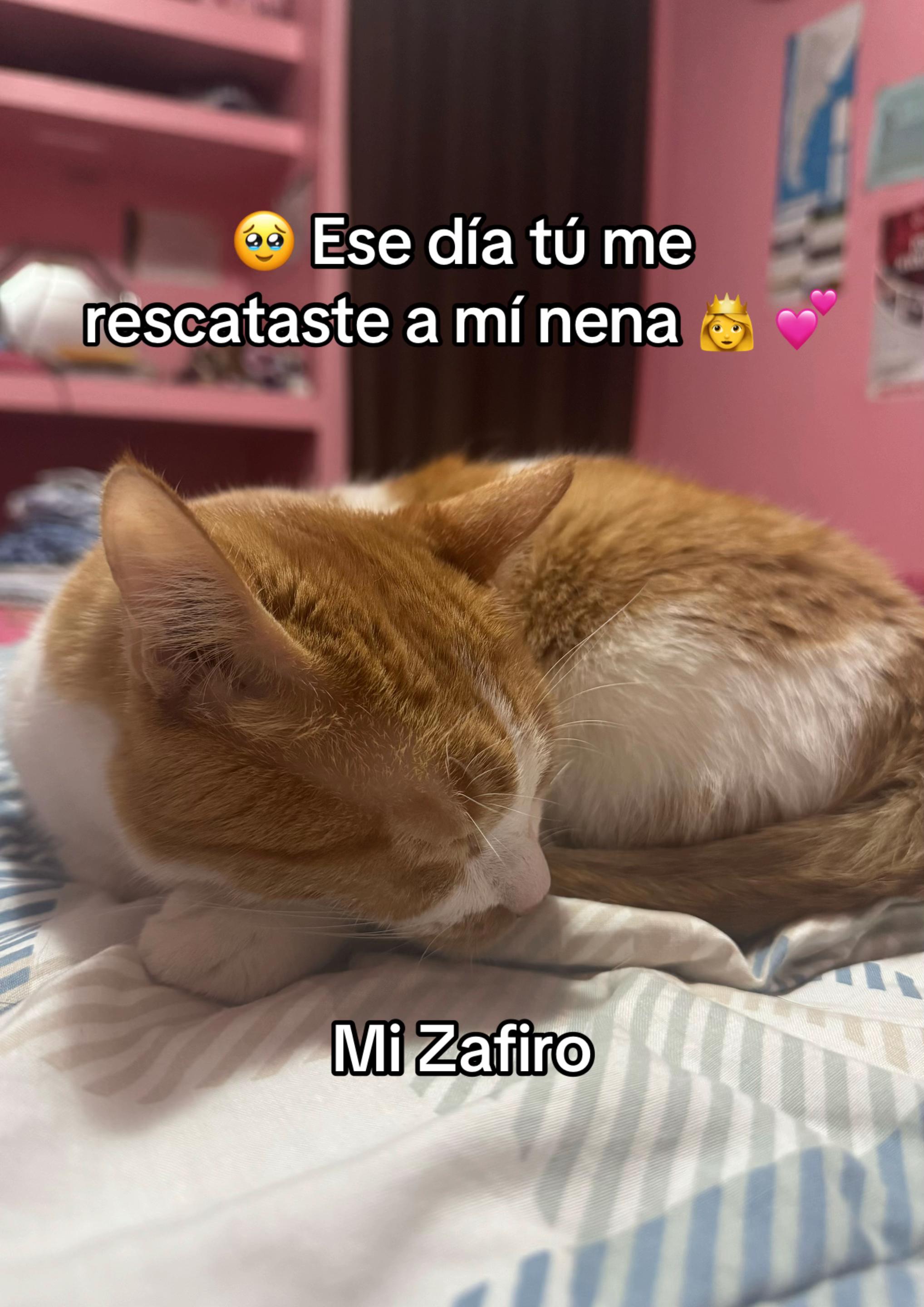 @Majo
