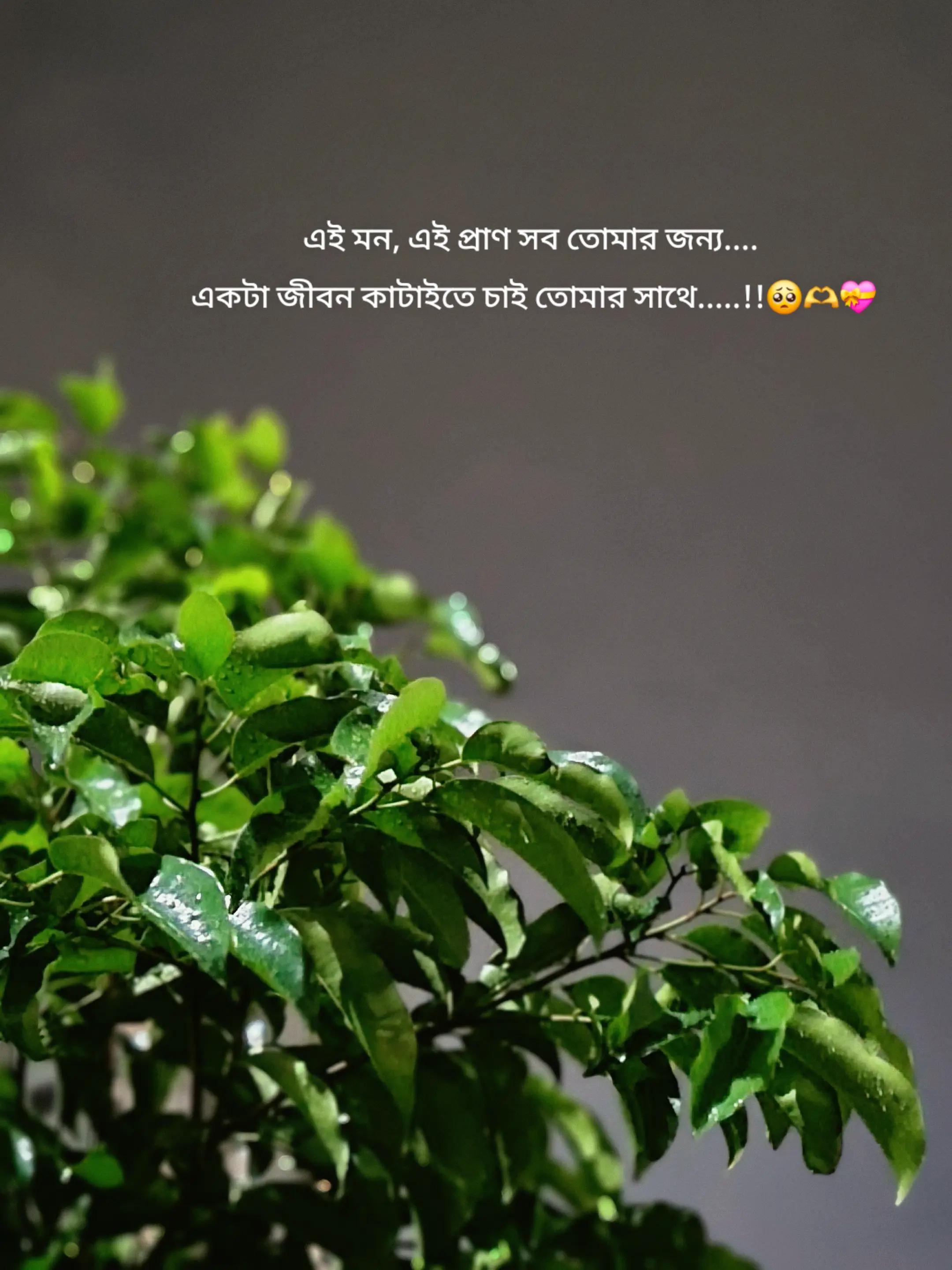 @Nabil
