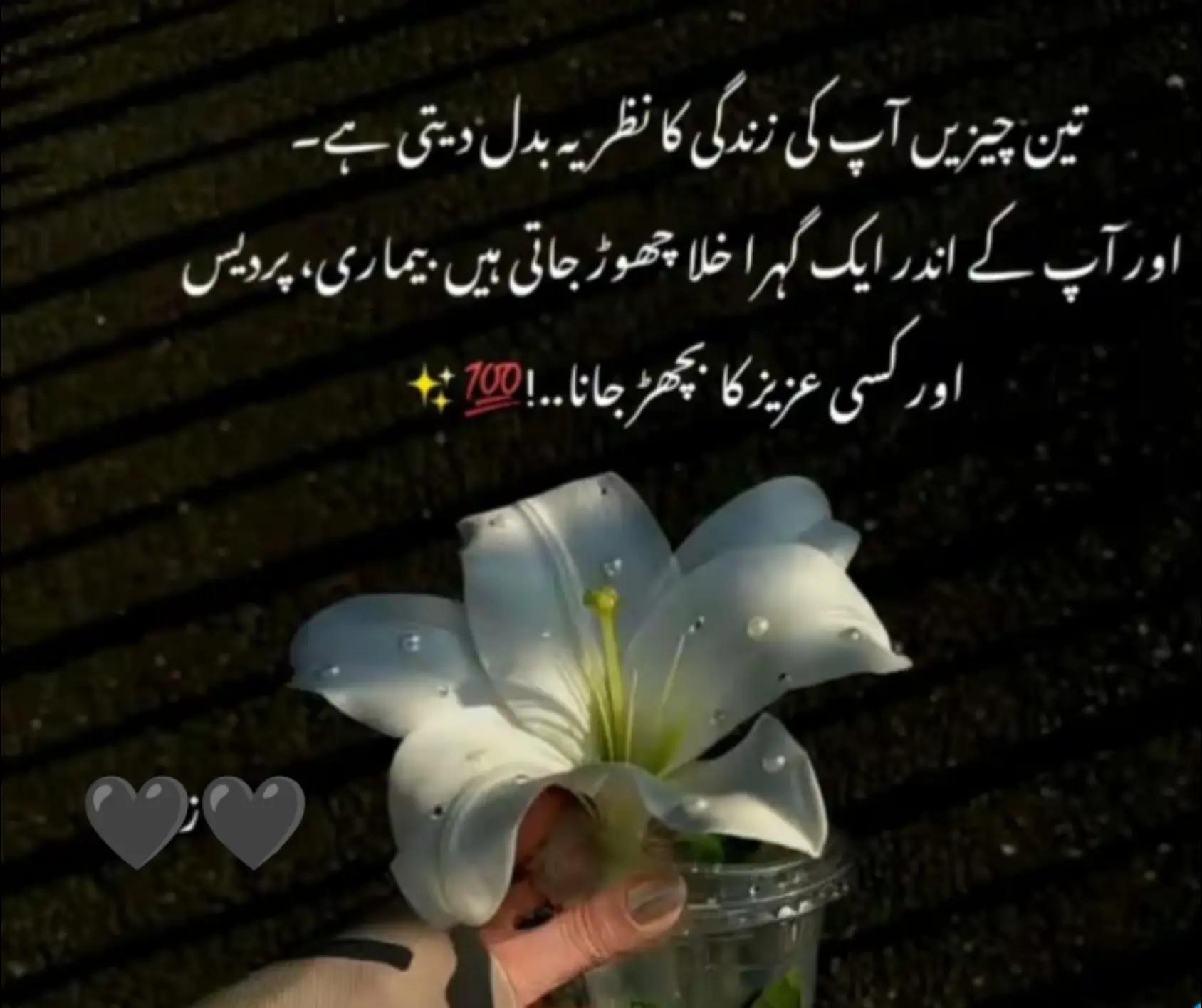 @itxHaDii✨♥️