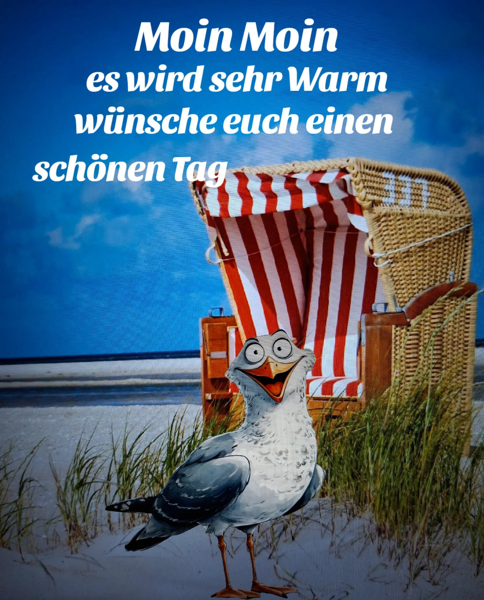 @geistlein12