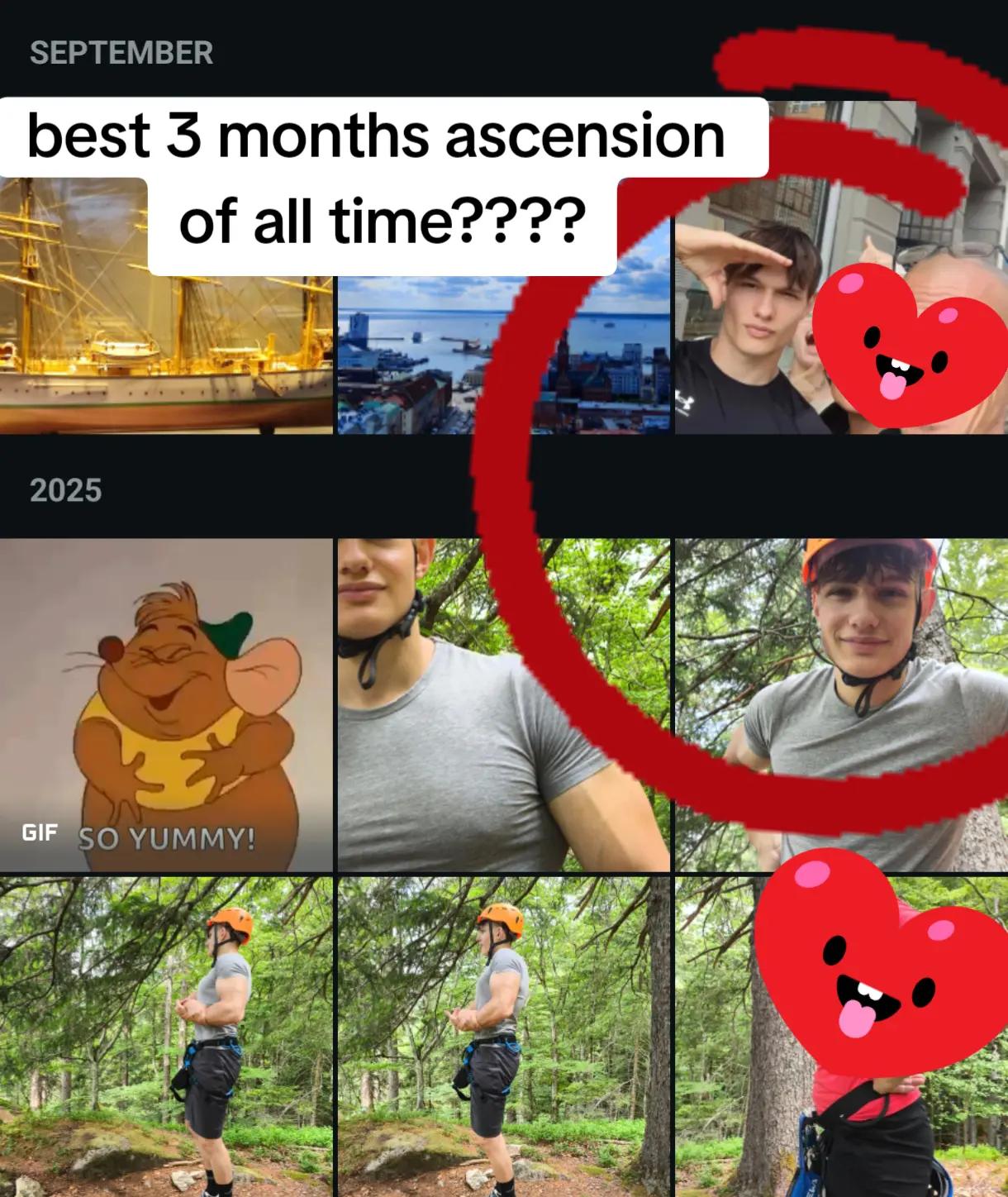 @Testo_Hamster