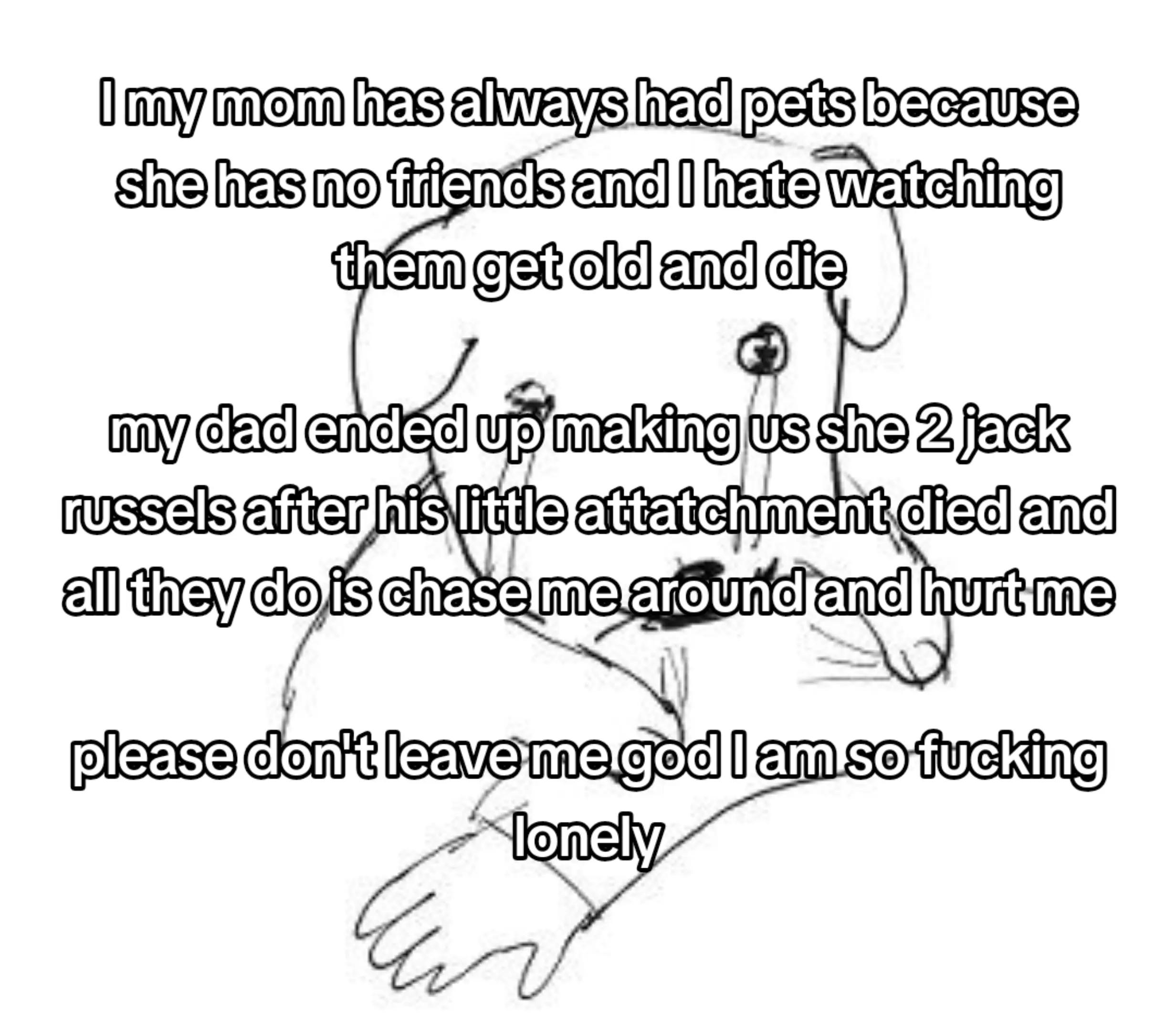 @K ₊˚⊹♡