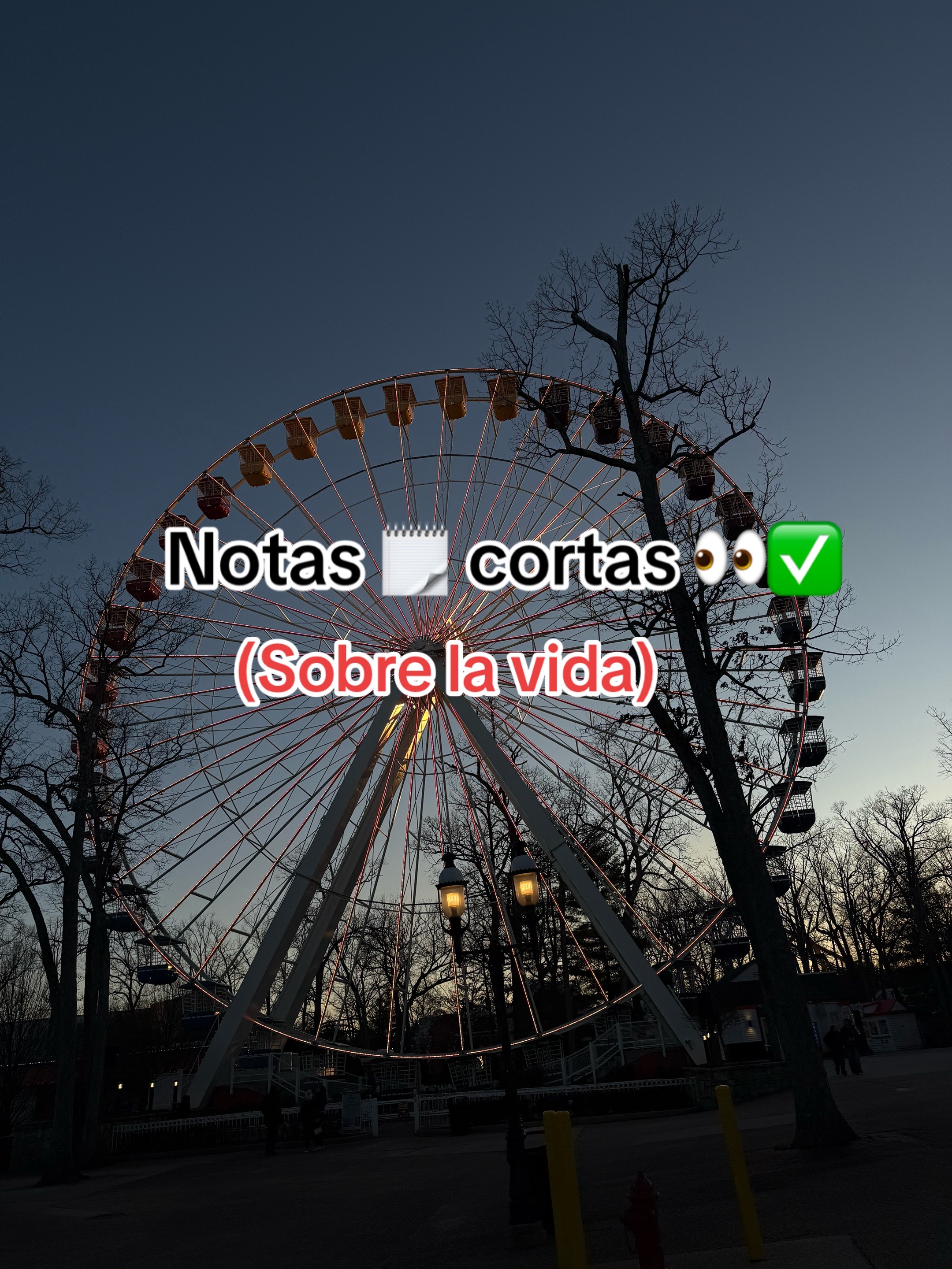 @🕷️_šōy_Wîlly_🥀
