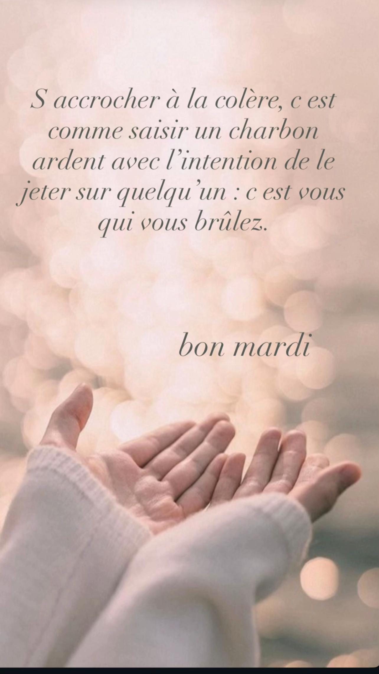 @Nadbougies