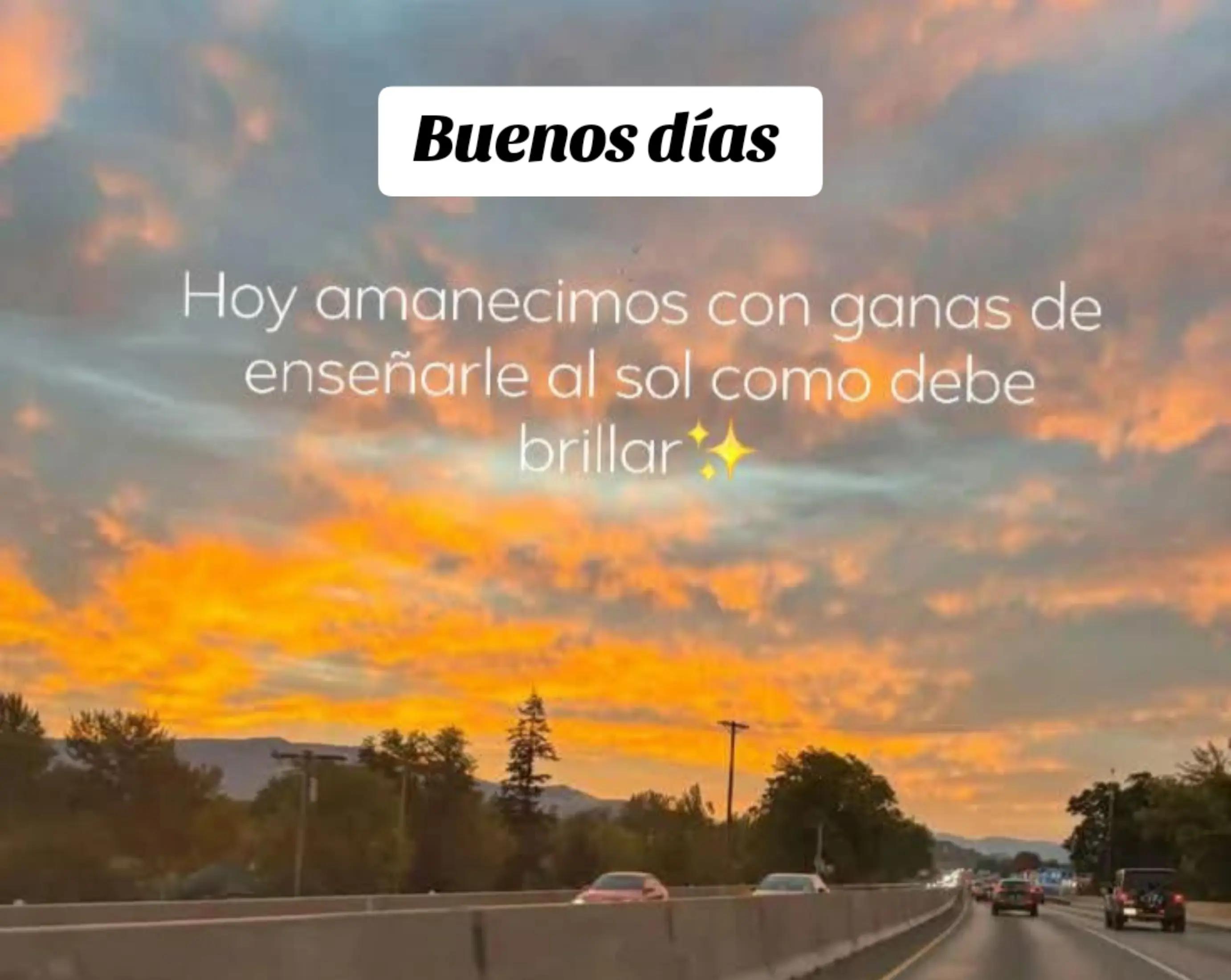 @alileiva ✨🌺🫀🧠🥂