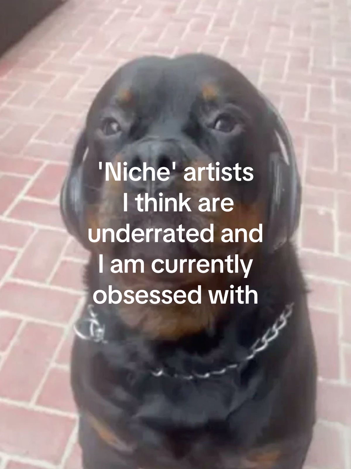 @Bert