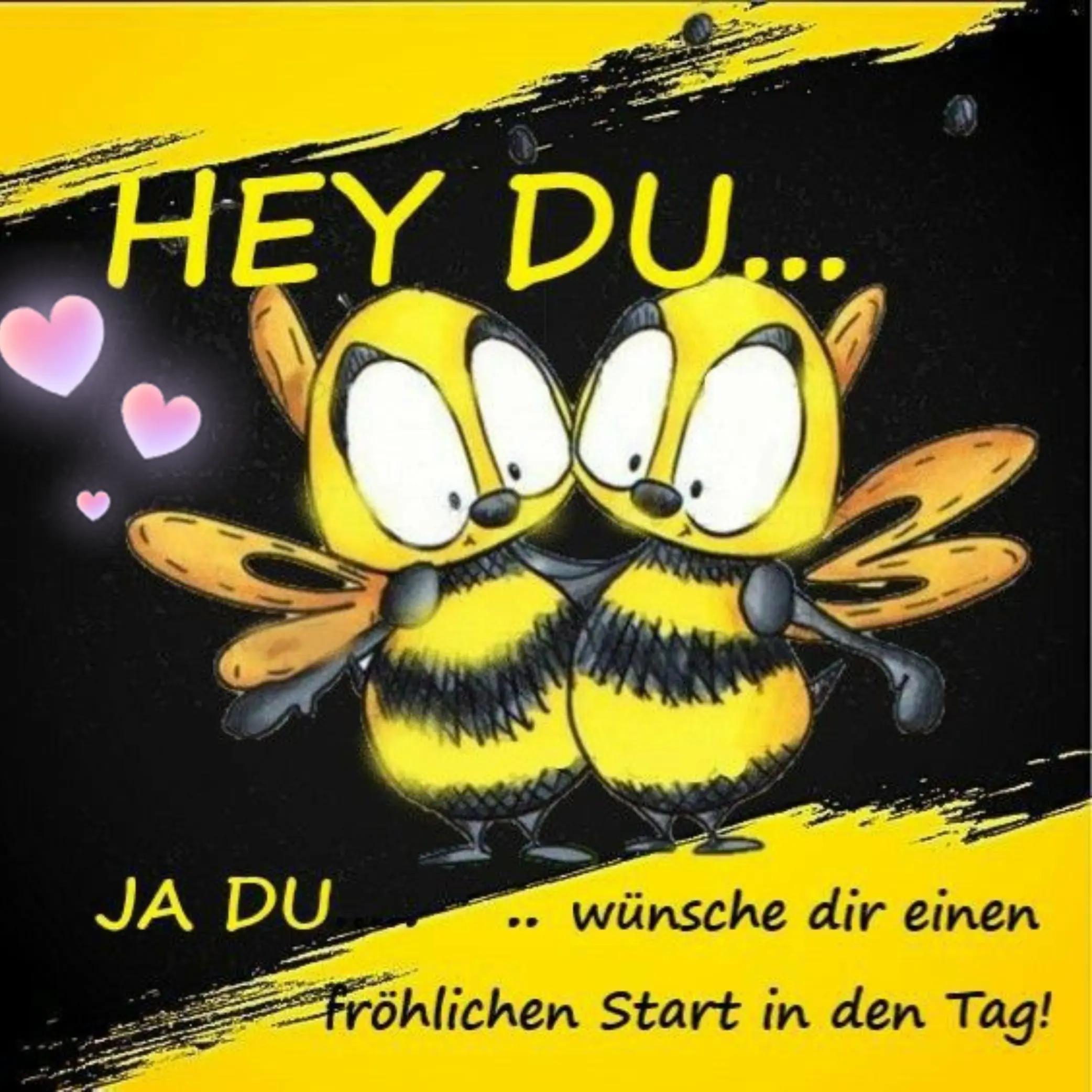 @kirschi