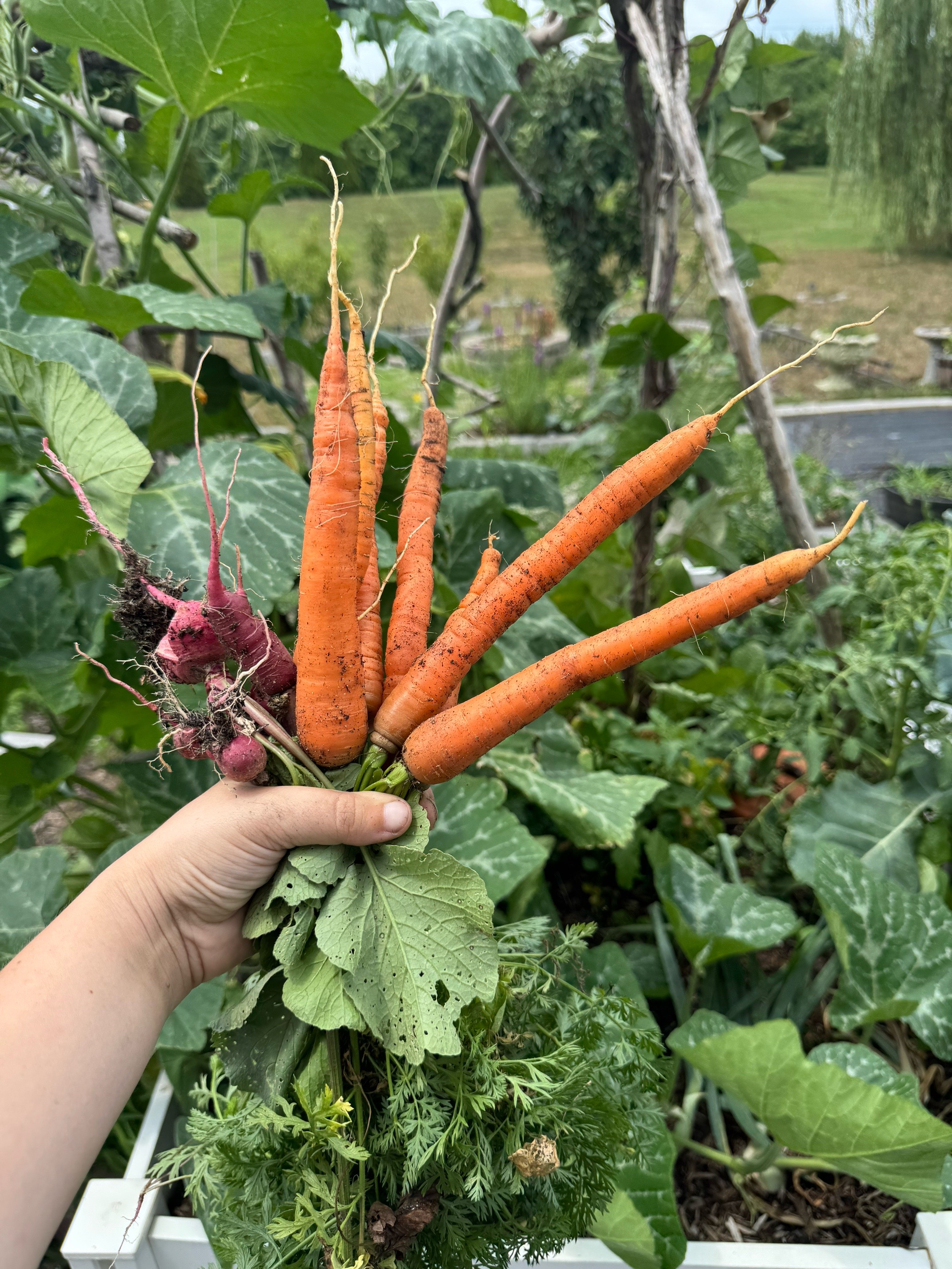 @The Bitchy Gardener - Jess 🍉