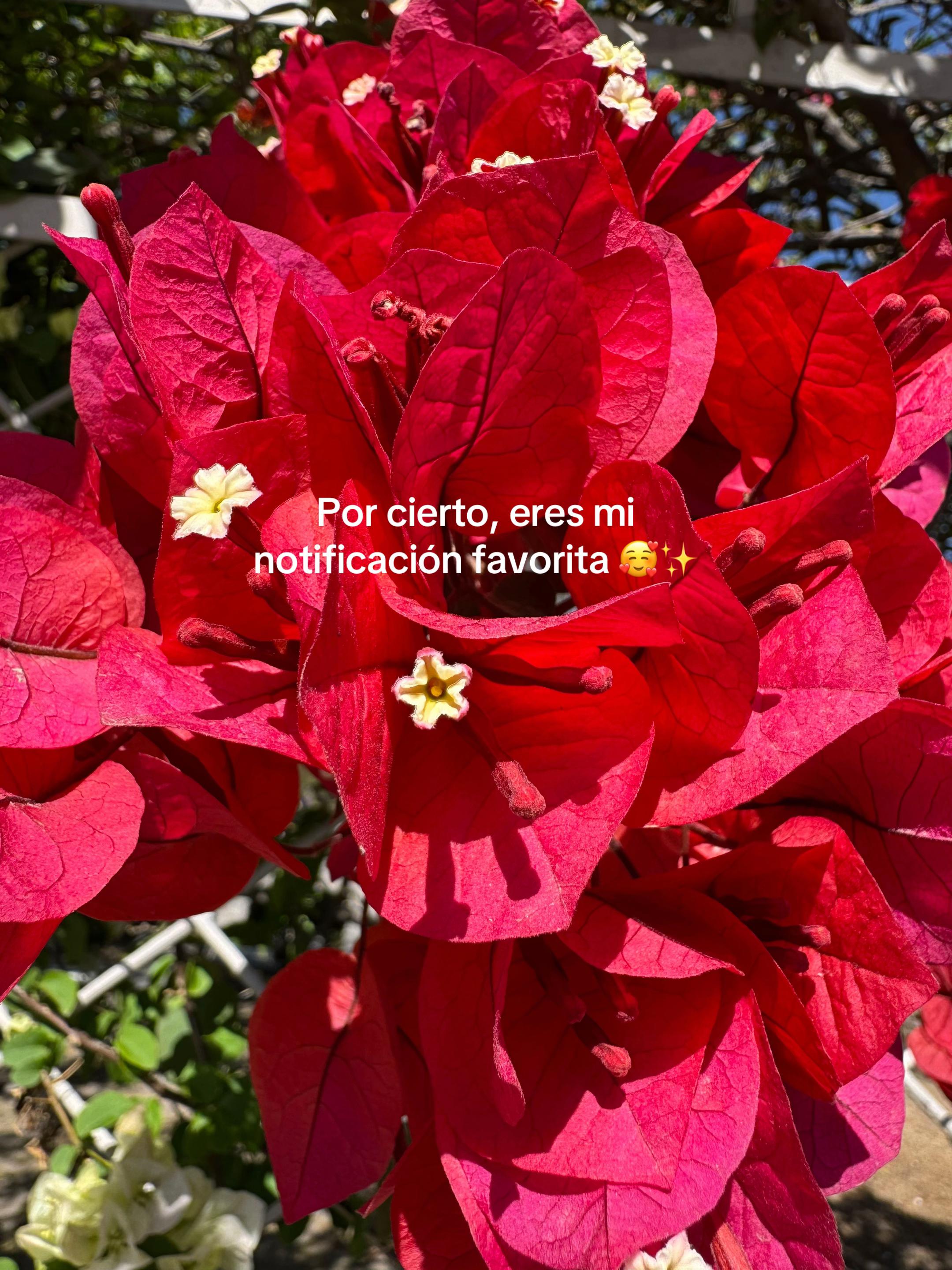 @Tere Varela