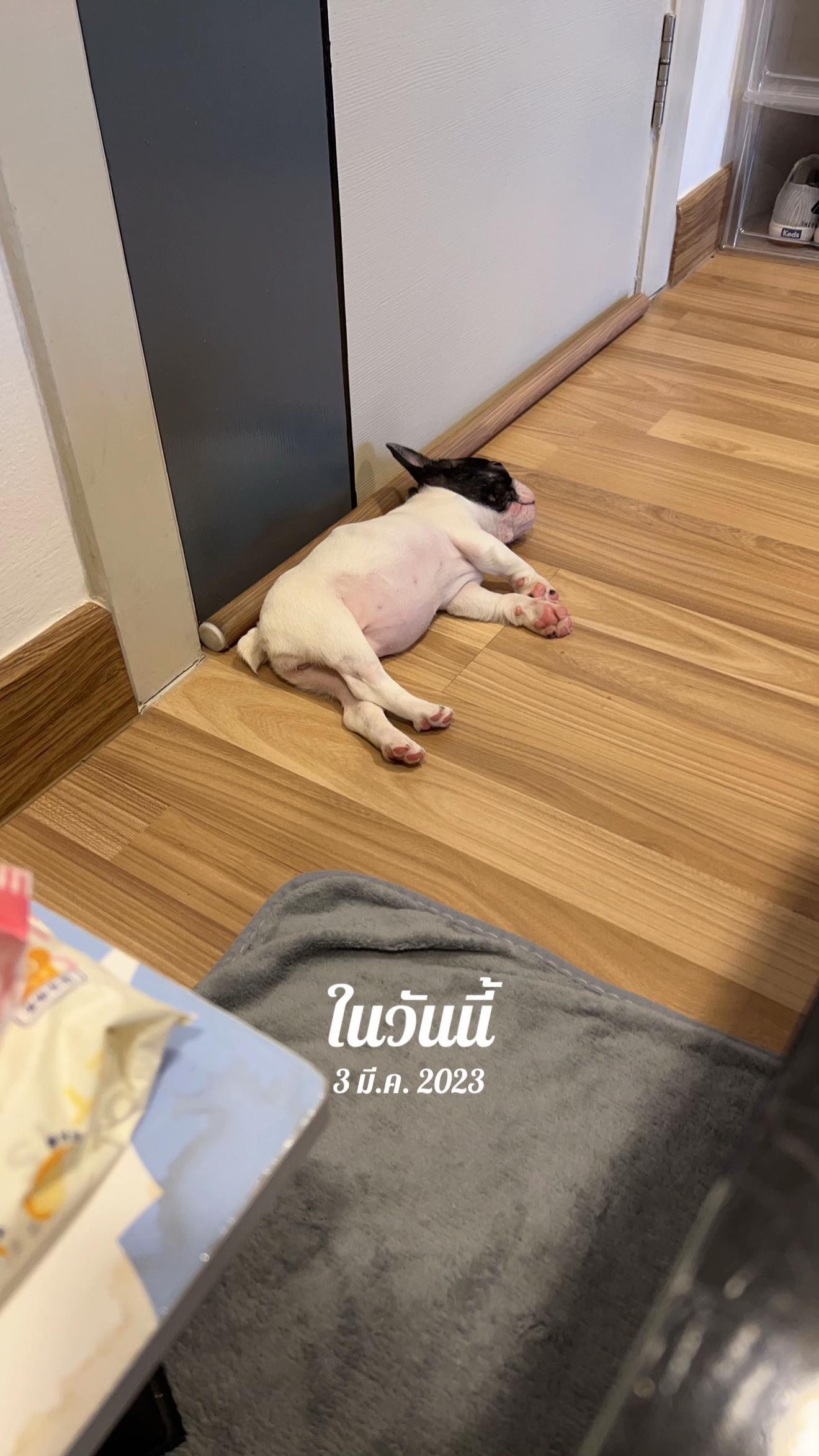 @ช่องน้องตังค์