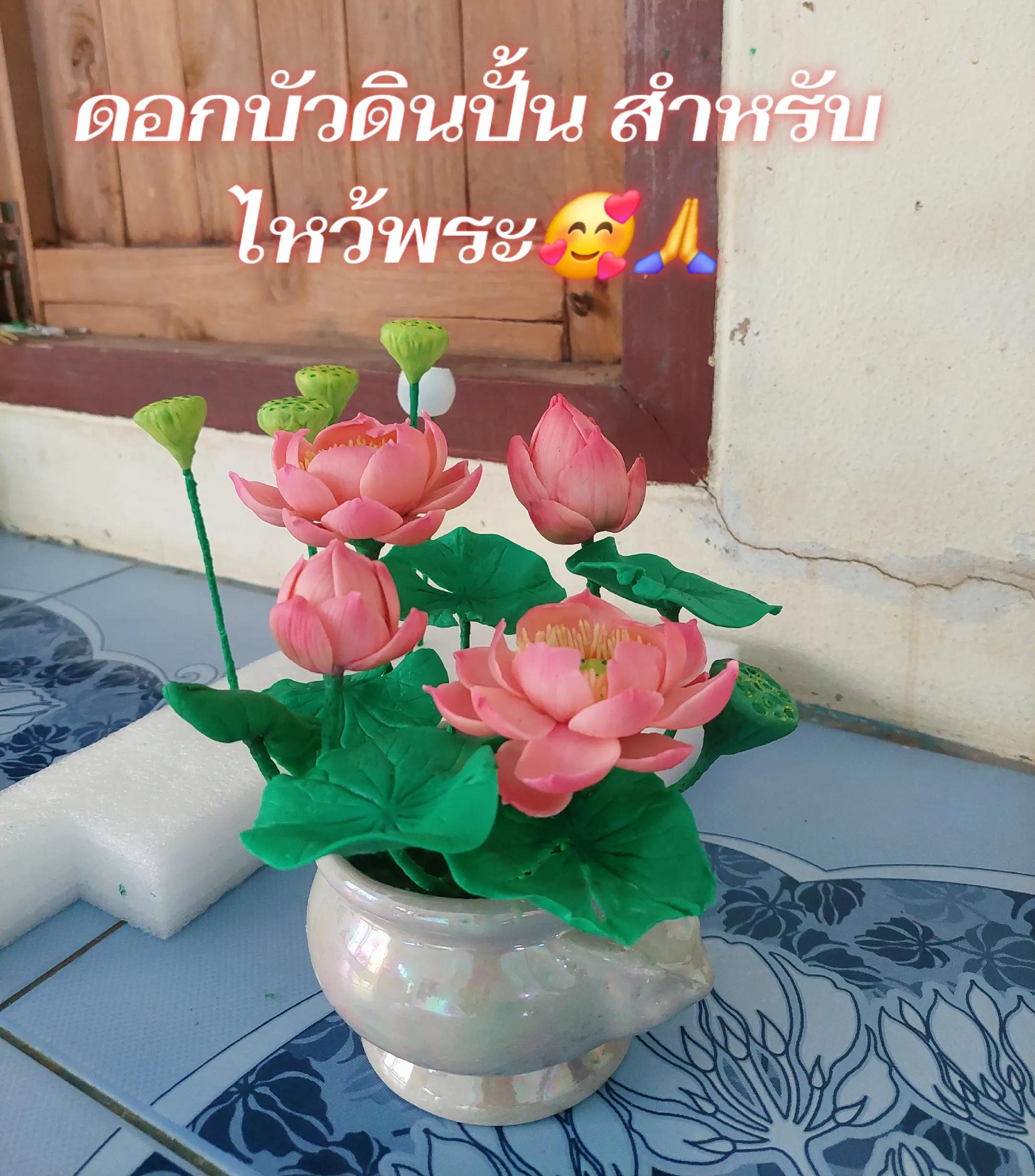 @Arthitayar-นุ่น🥰🥰