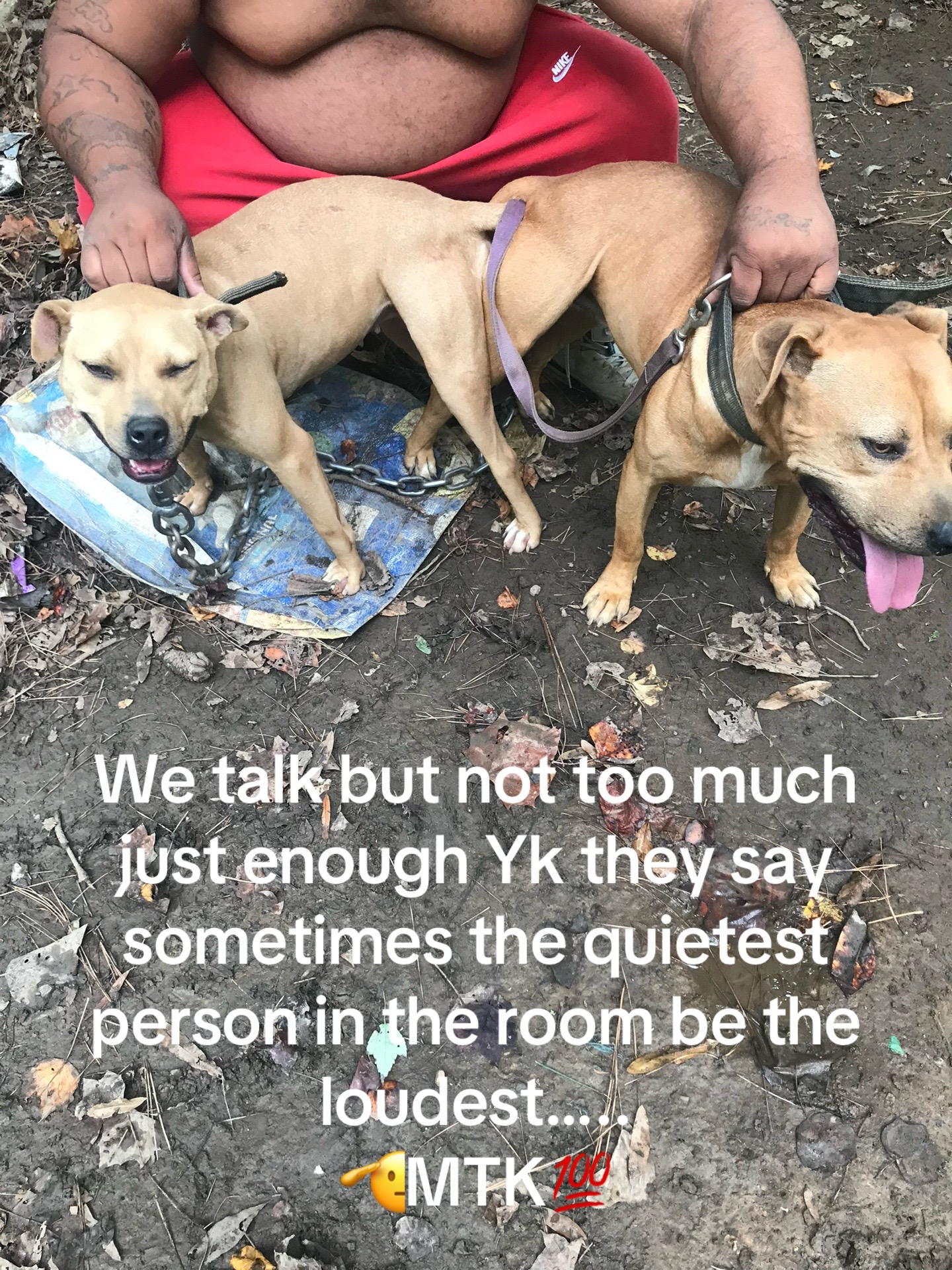 @MoneyTalkKennels