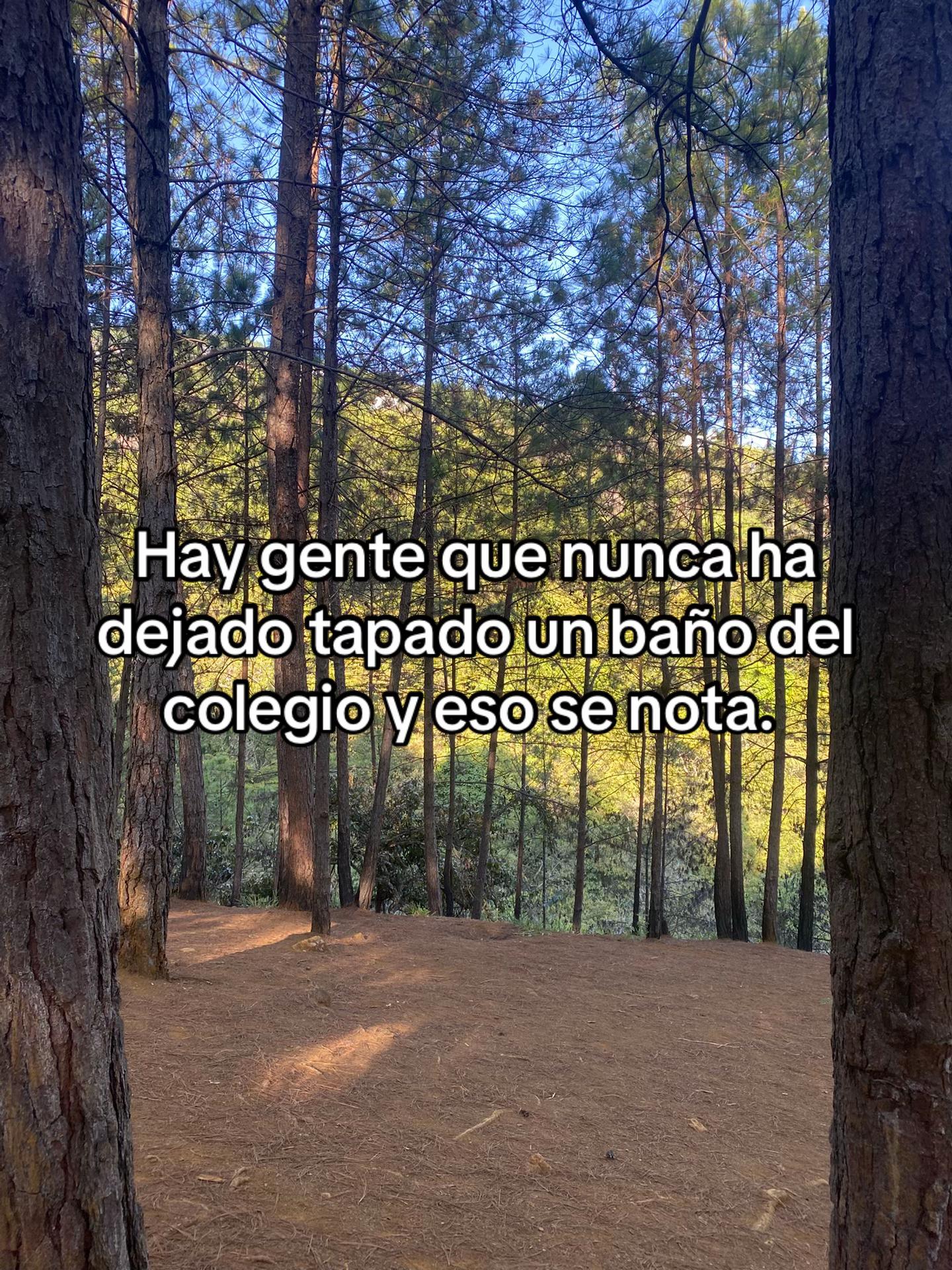 @evilkiti🩸