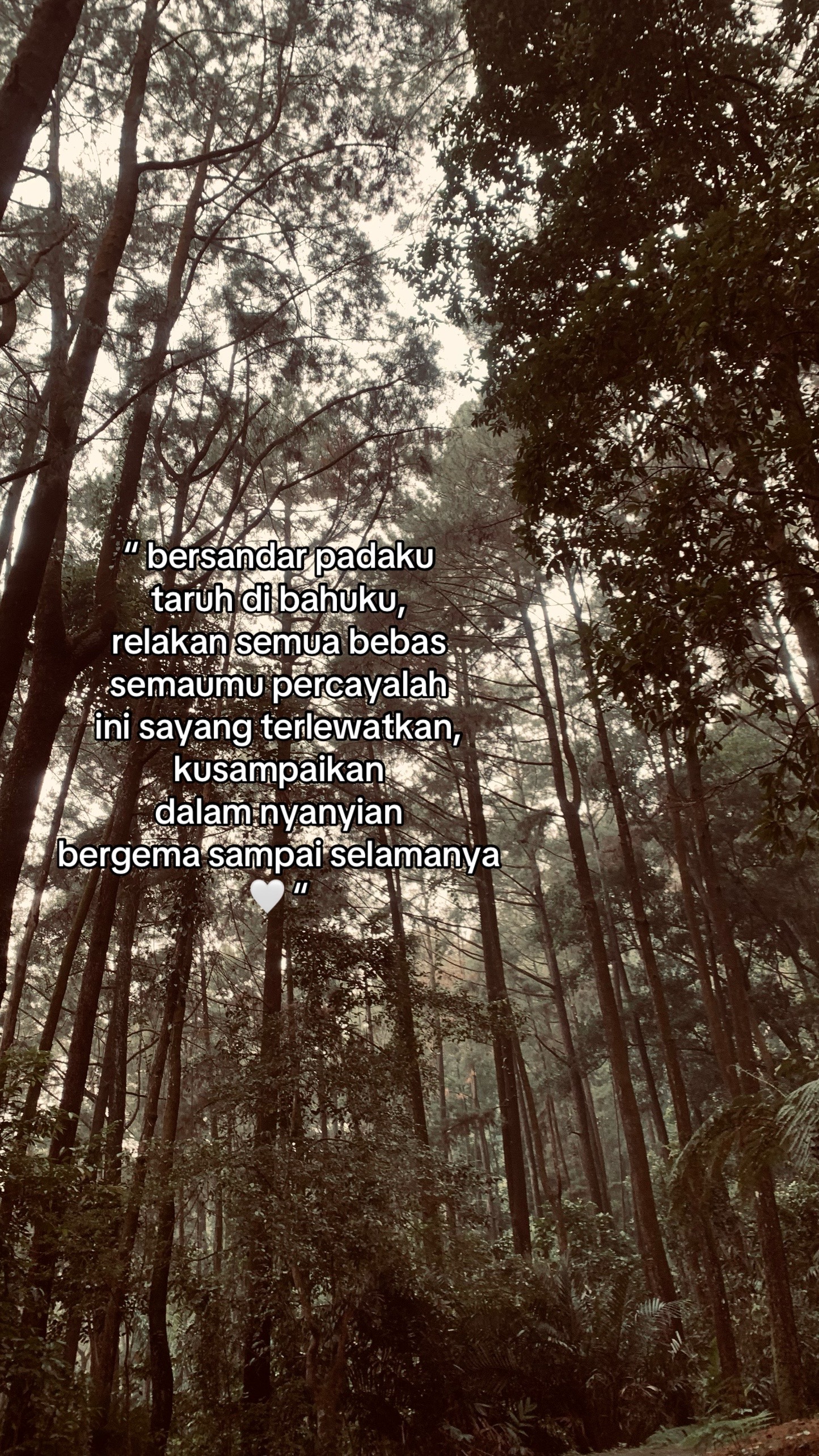 @ireey