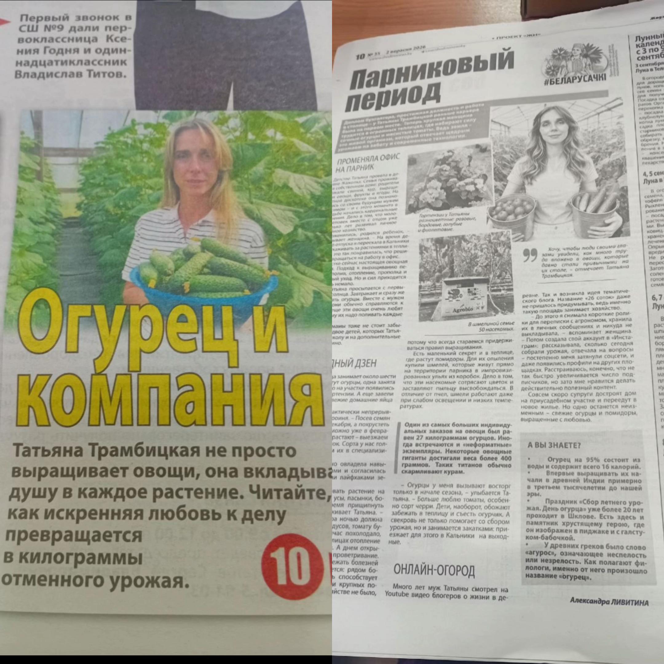 @26 соток