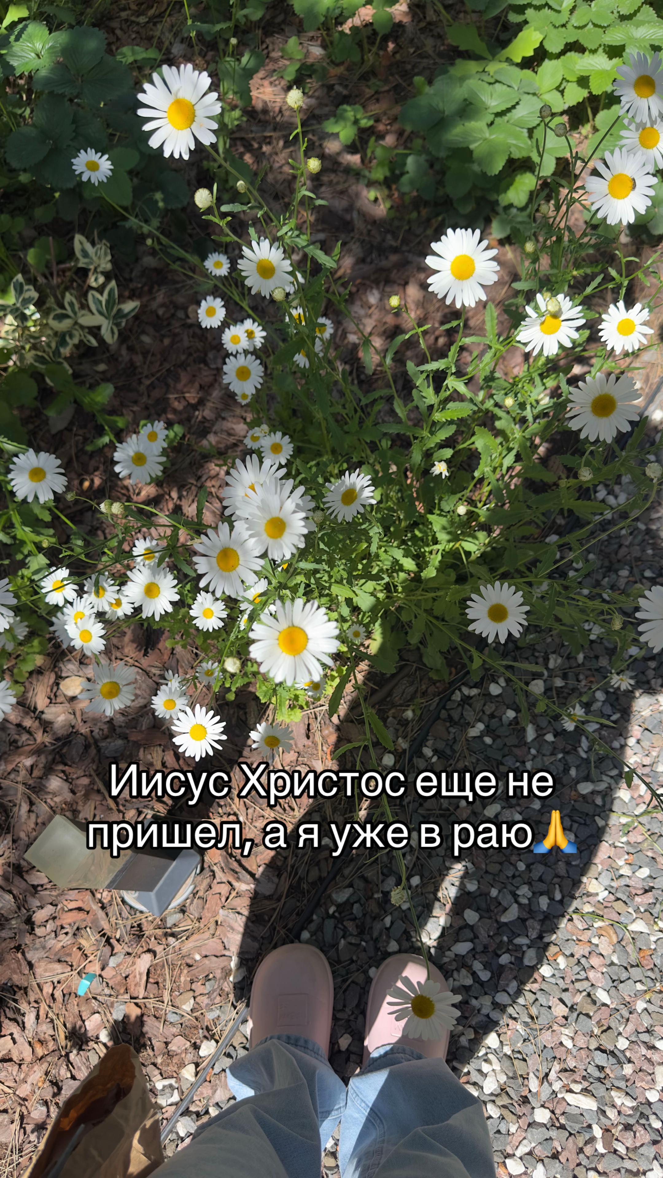 @mo_anna