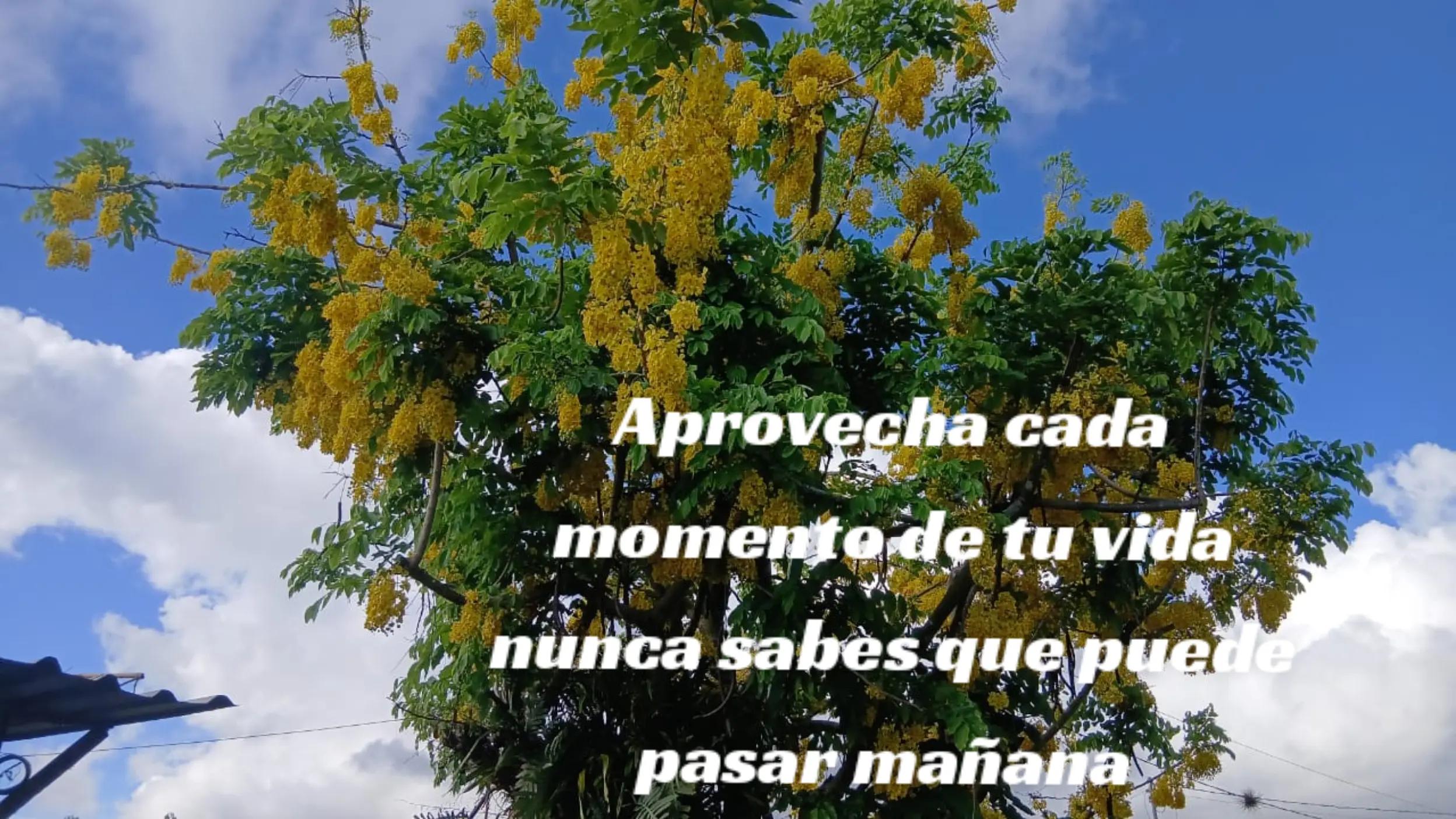 @✨Iveth 🙂↔️🙂↔️