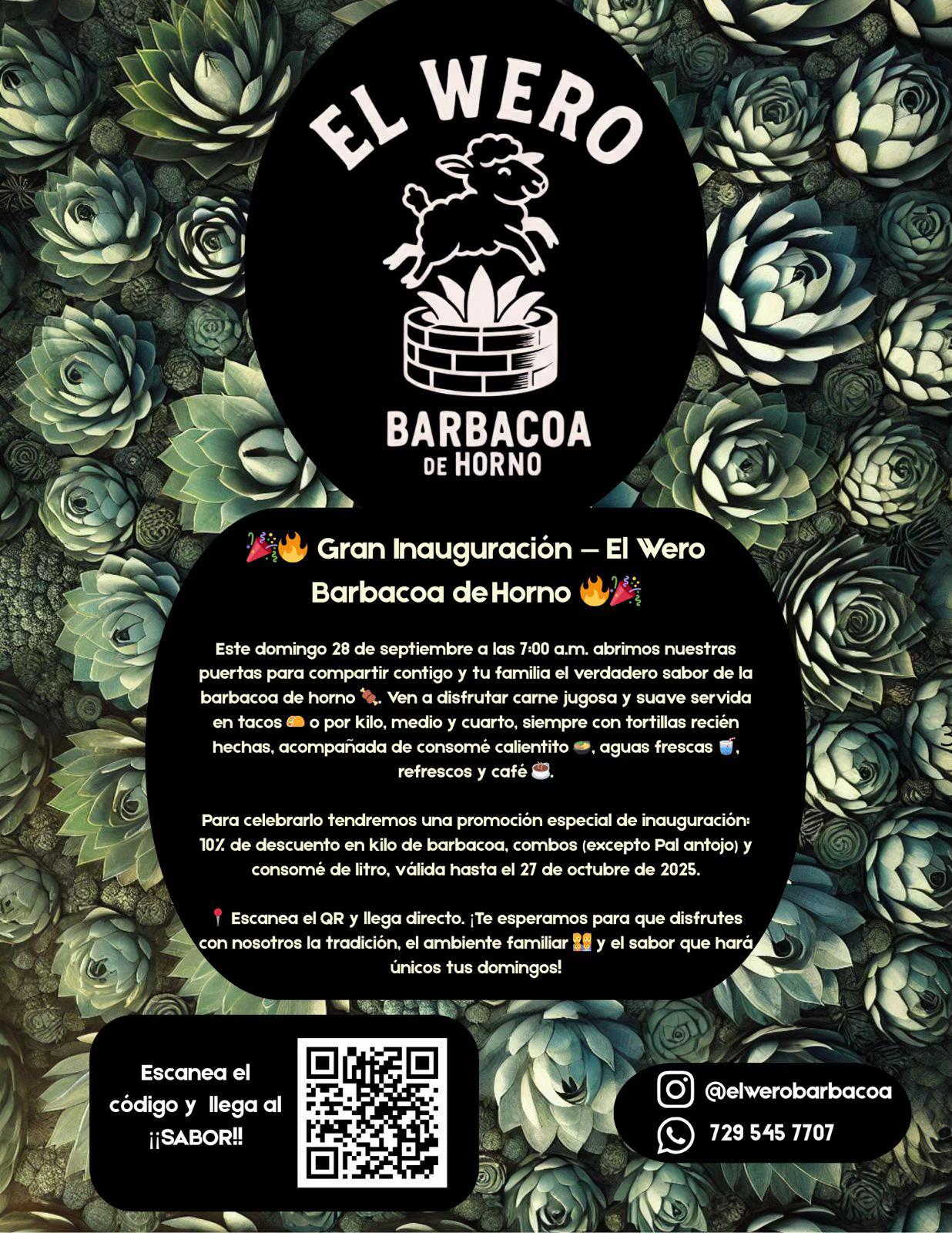 @Aurora Barbosa
