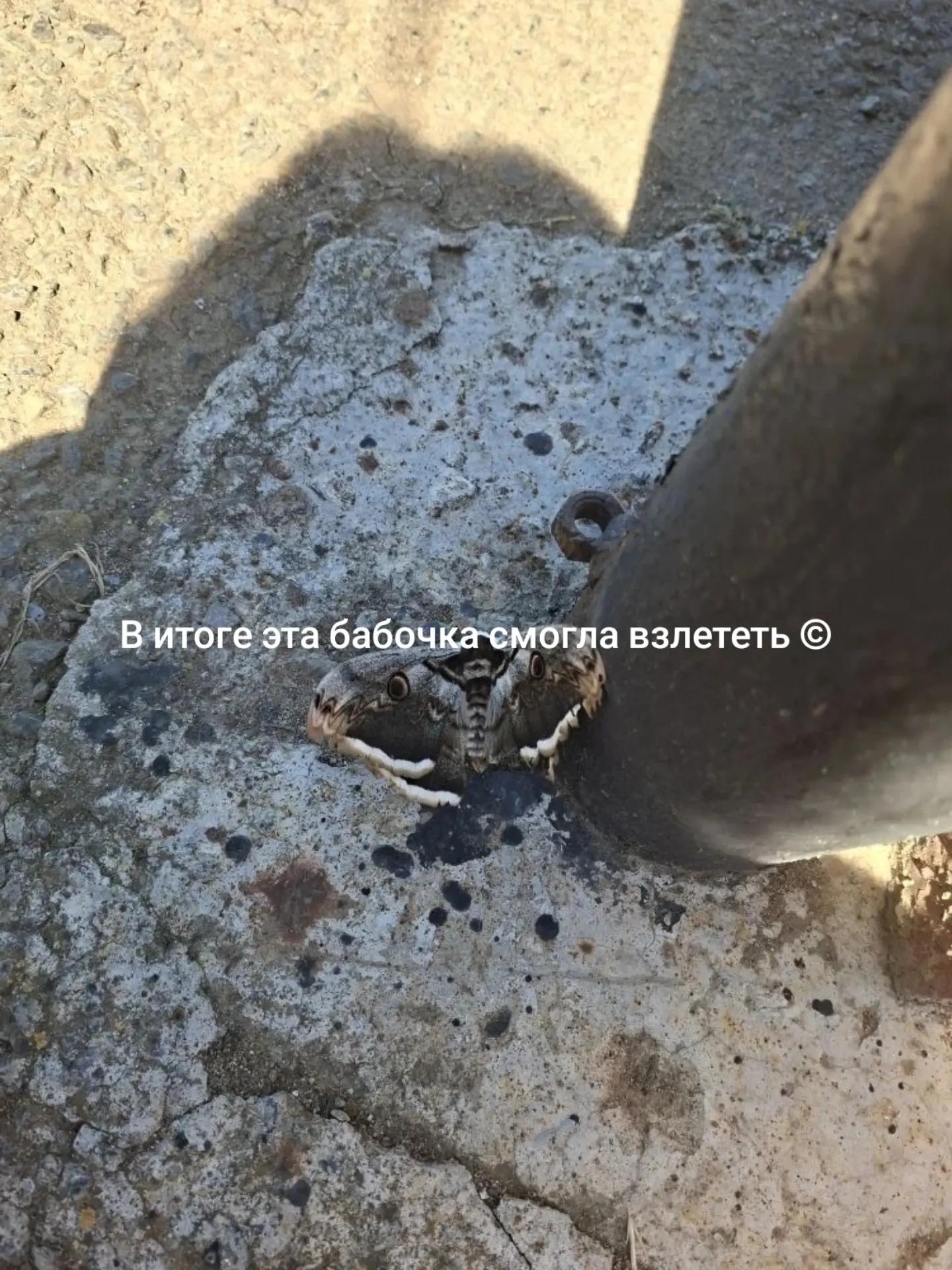 @Татьяна Саул