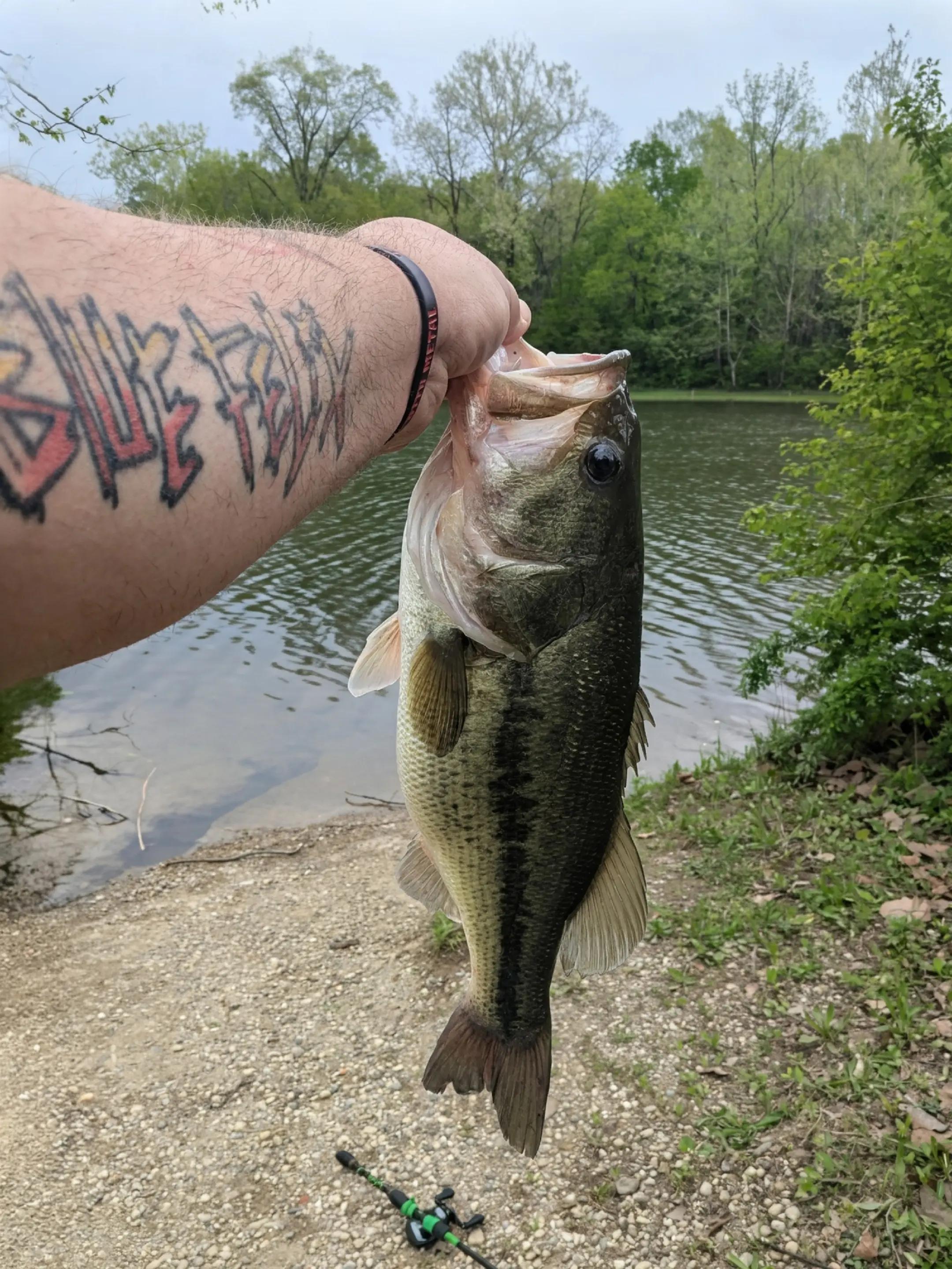 @Fishing with Metal