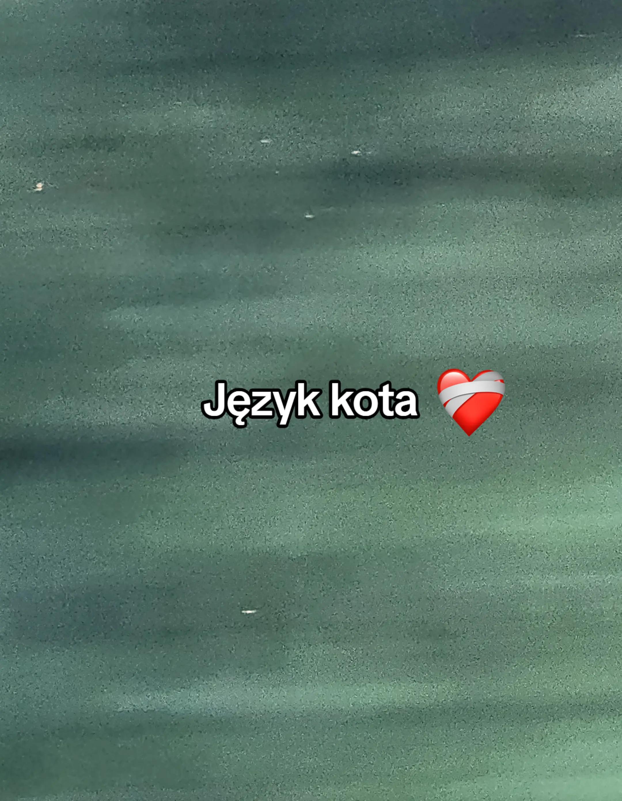 @Torcik