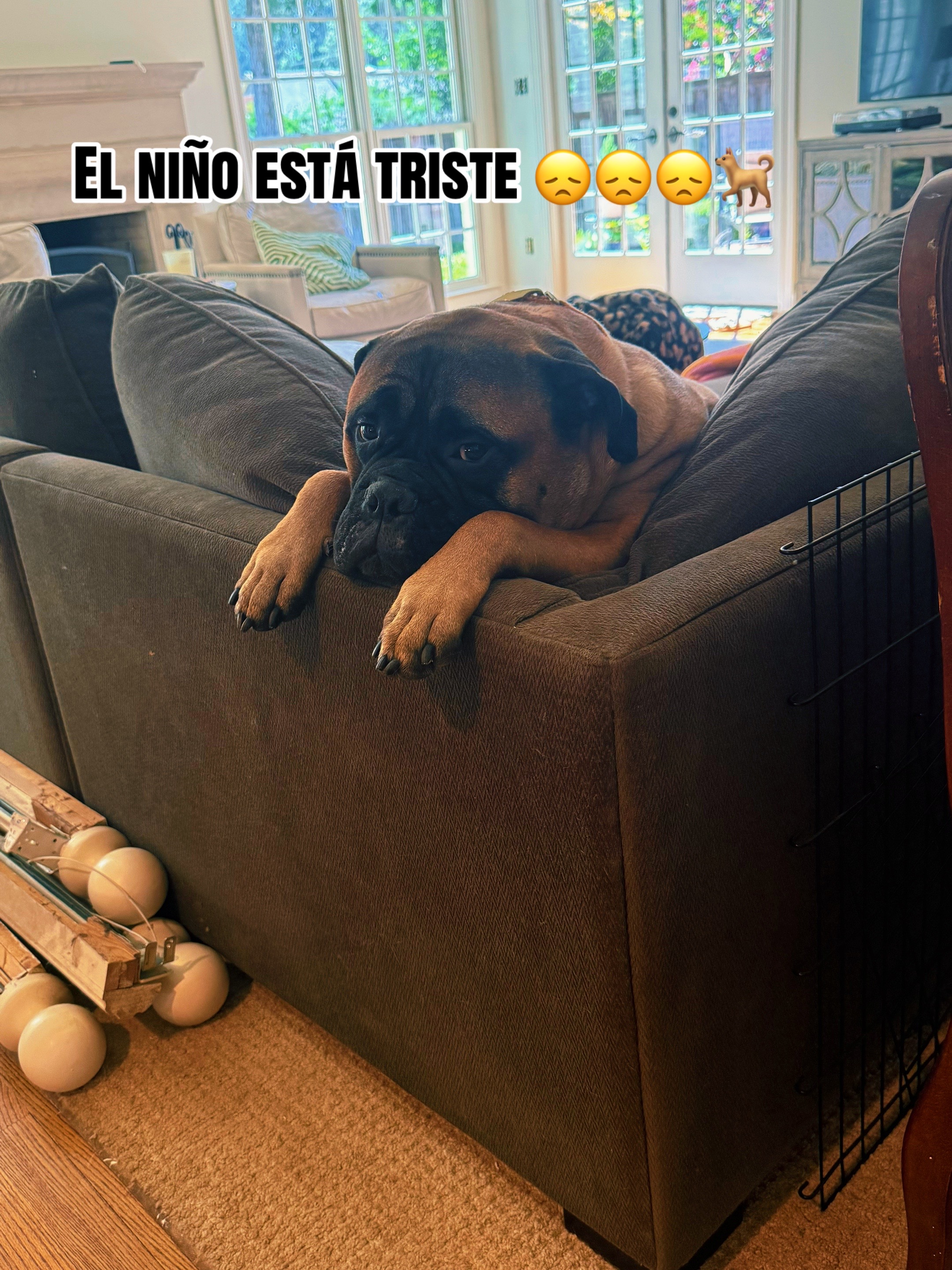 @🦋🦖LETTY🤠🪗
