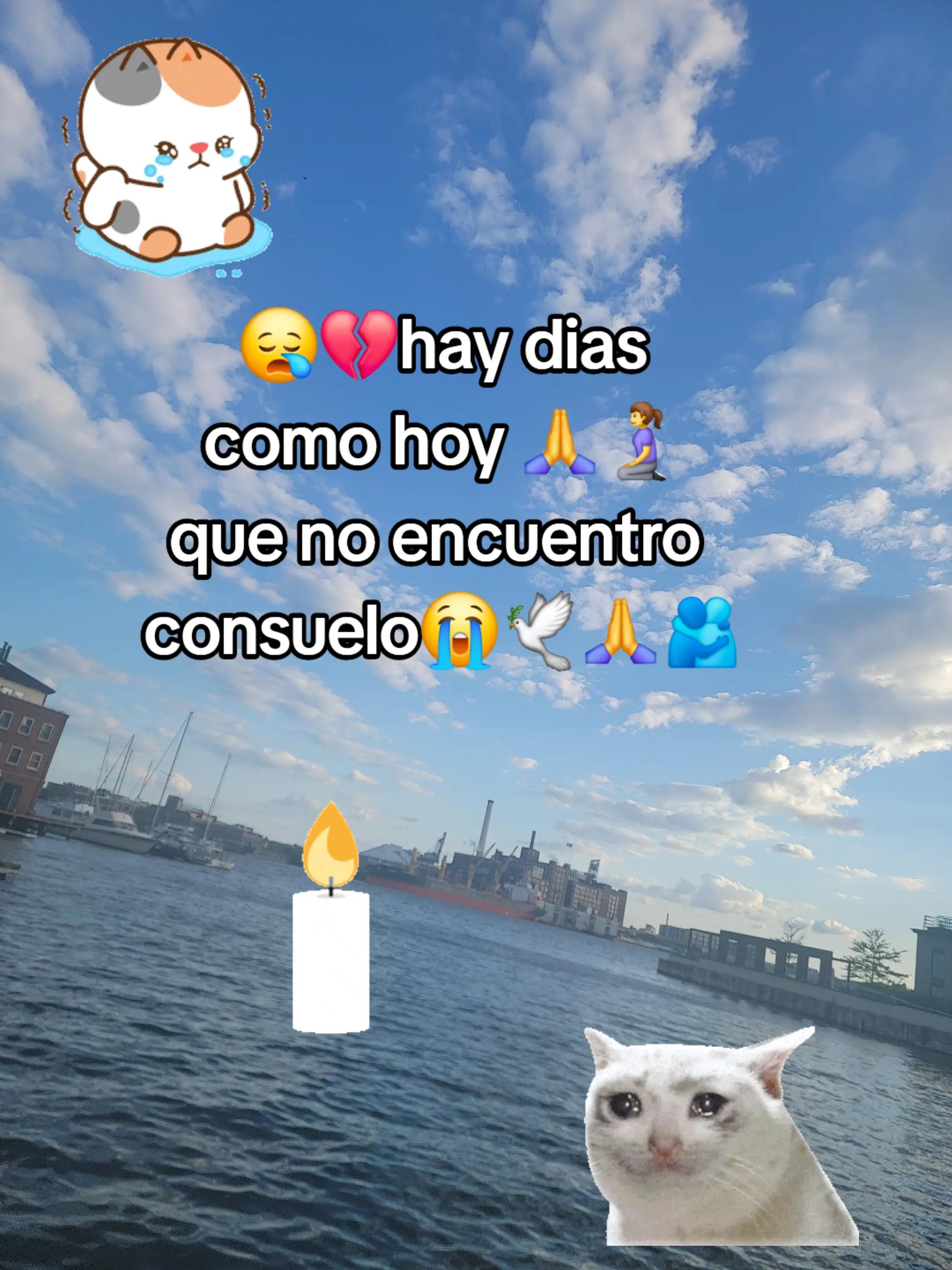 @🦋❤️&zwj;🩹Dalma Naranza 🖤🕊🫂🙏