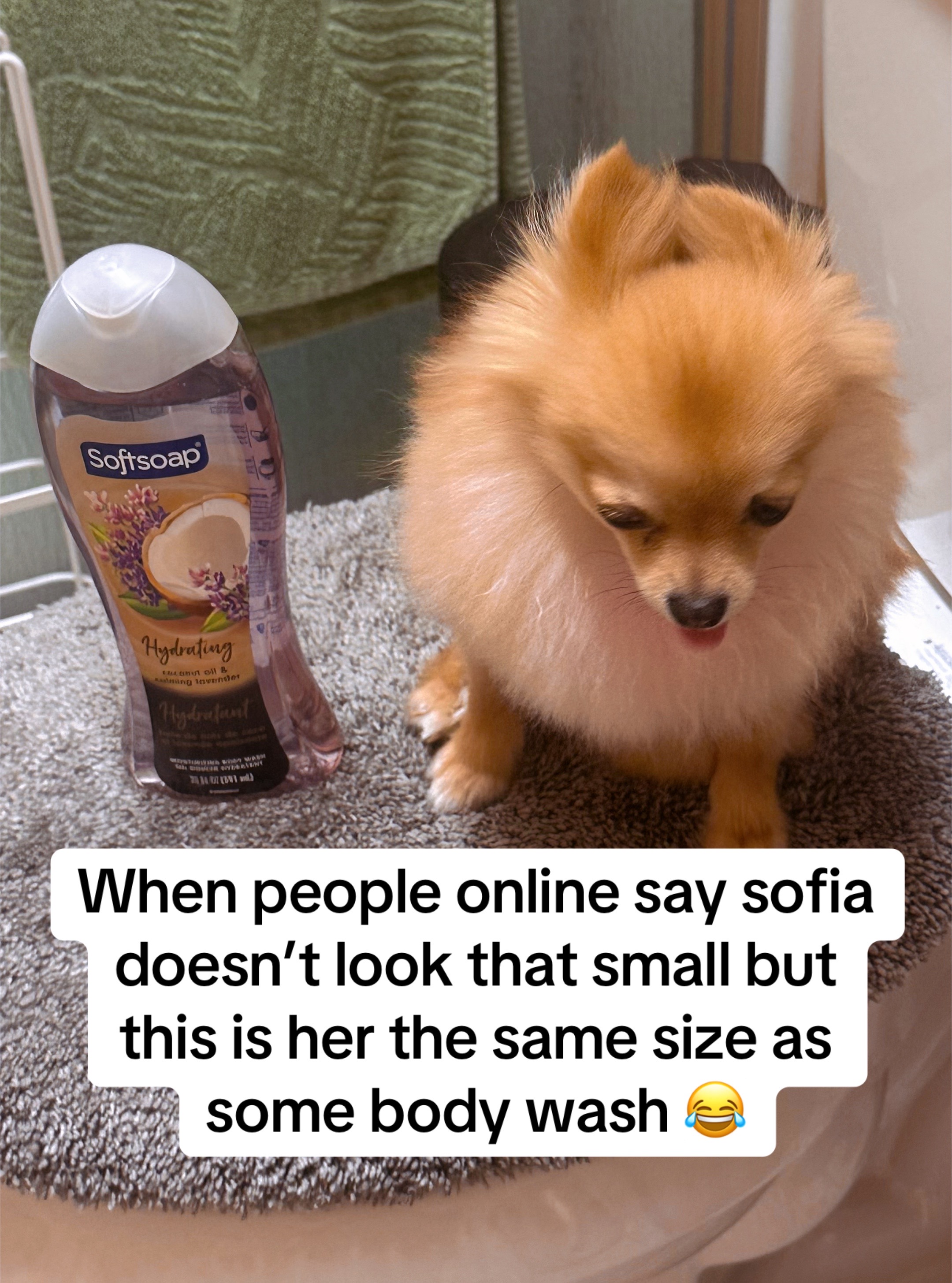 @sophialove093