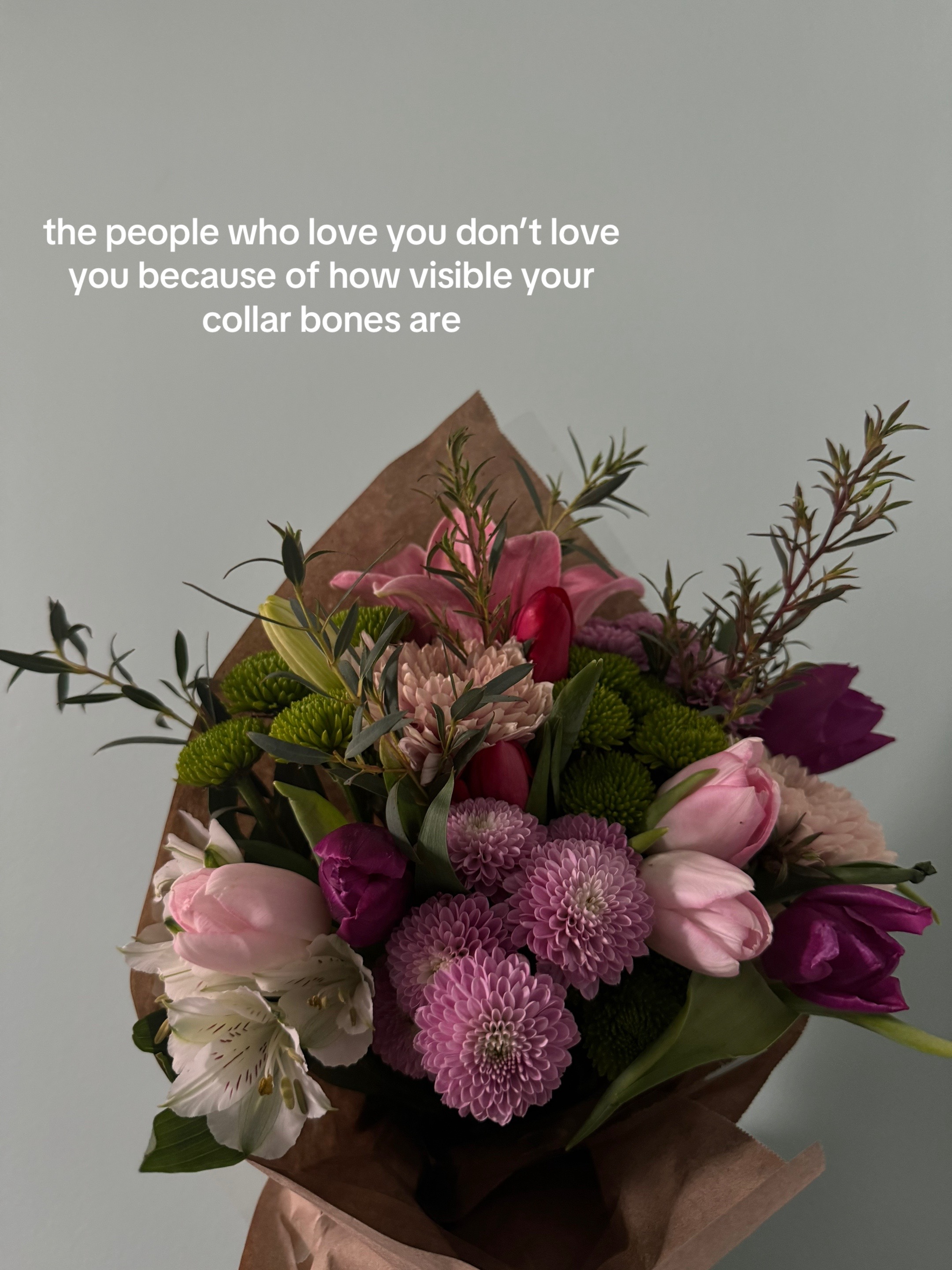 @✿˚⋆ 🪭 ⋆˚✿