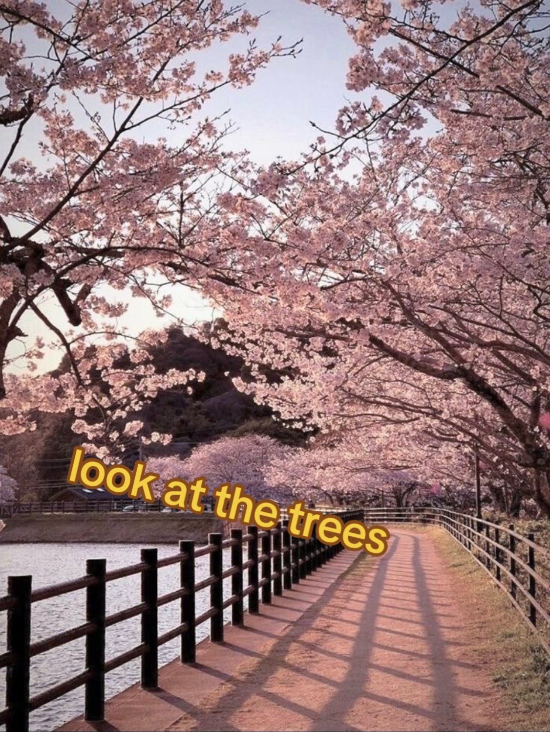 @࣪ ˙ 💫.ᴀᴢᴀɪʀᴇ! . 𖦹˙—