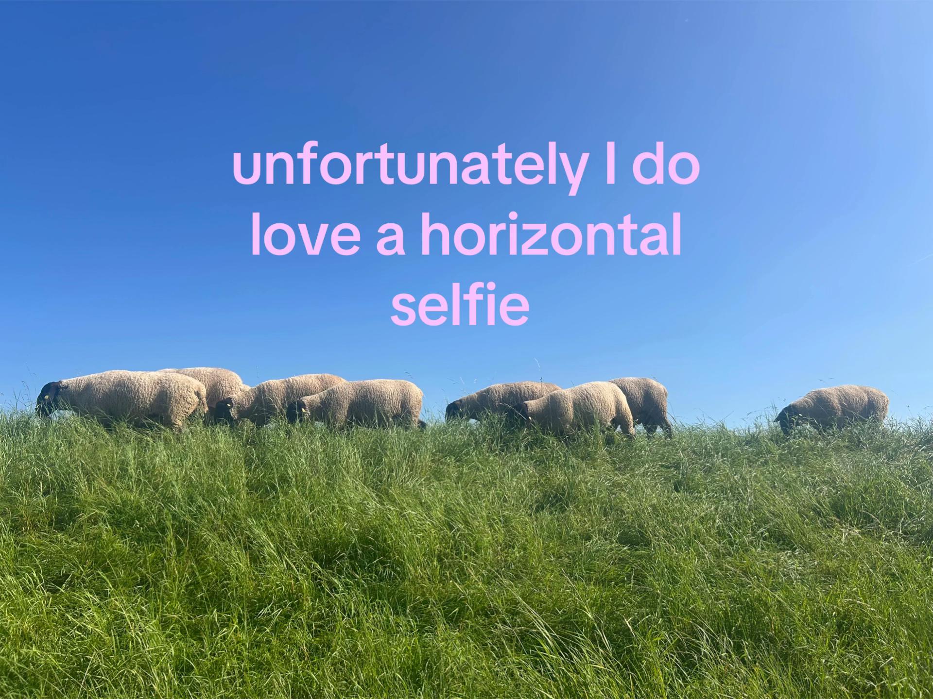 @frieda