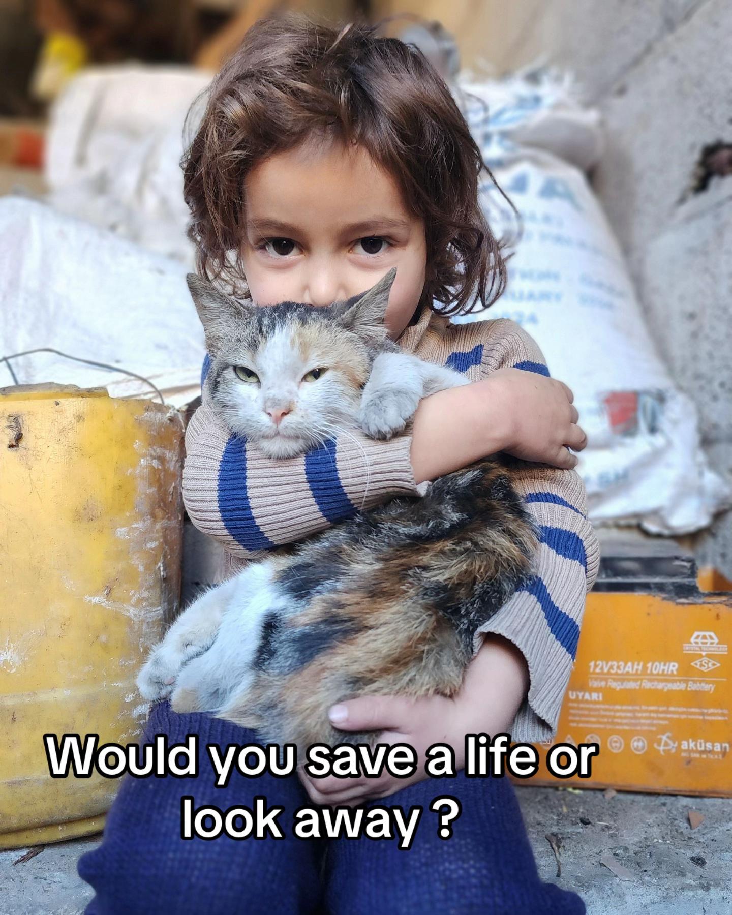 @Gaza Animal Rescue