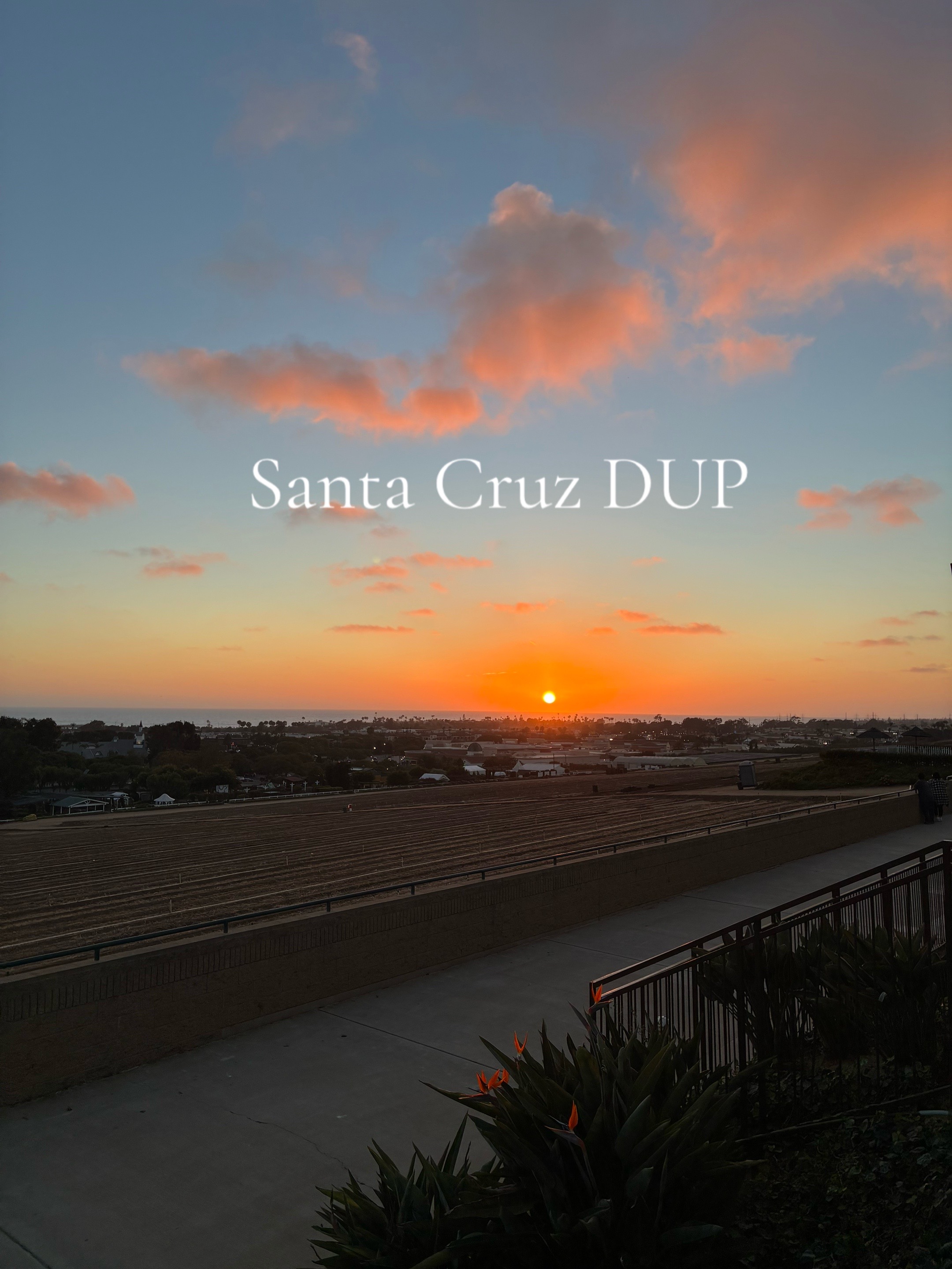 @🌺𝓙𝓮𝓼𝓼𓆉🌊